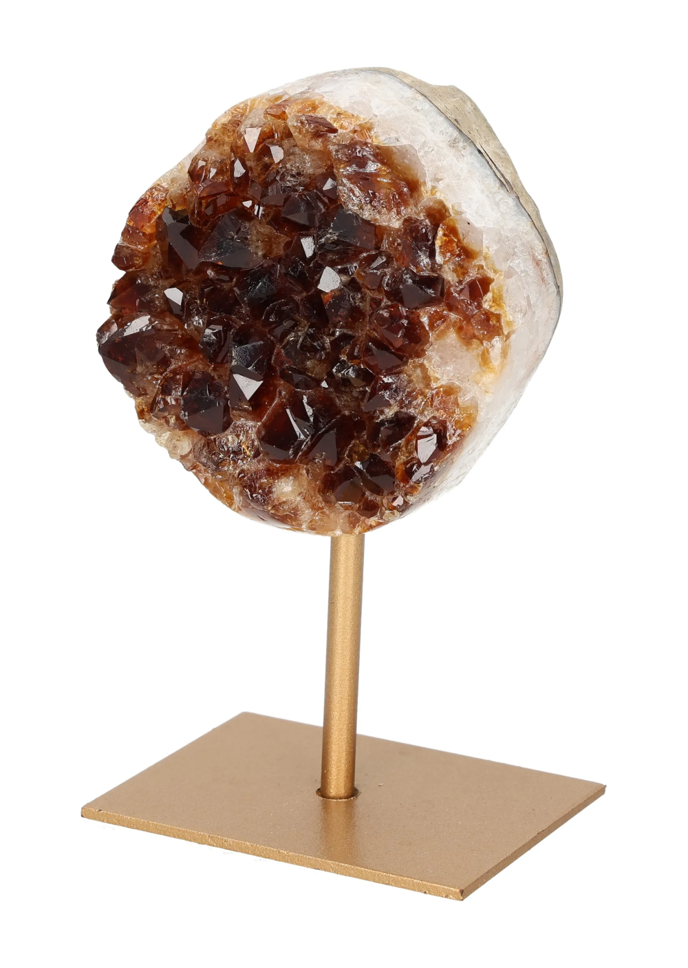 orbitvu|type:image2d