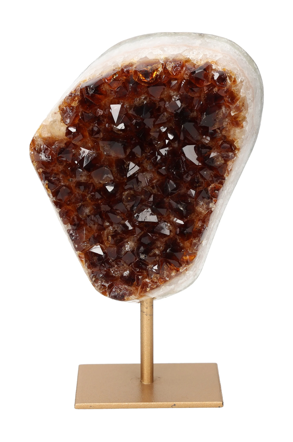 orbitvu|type:image2d