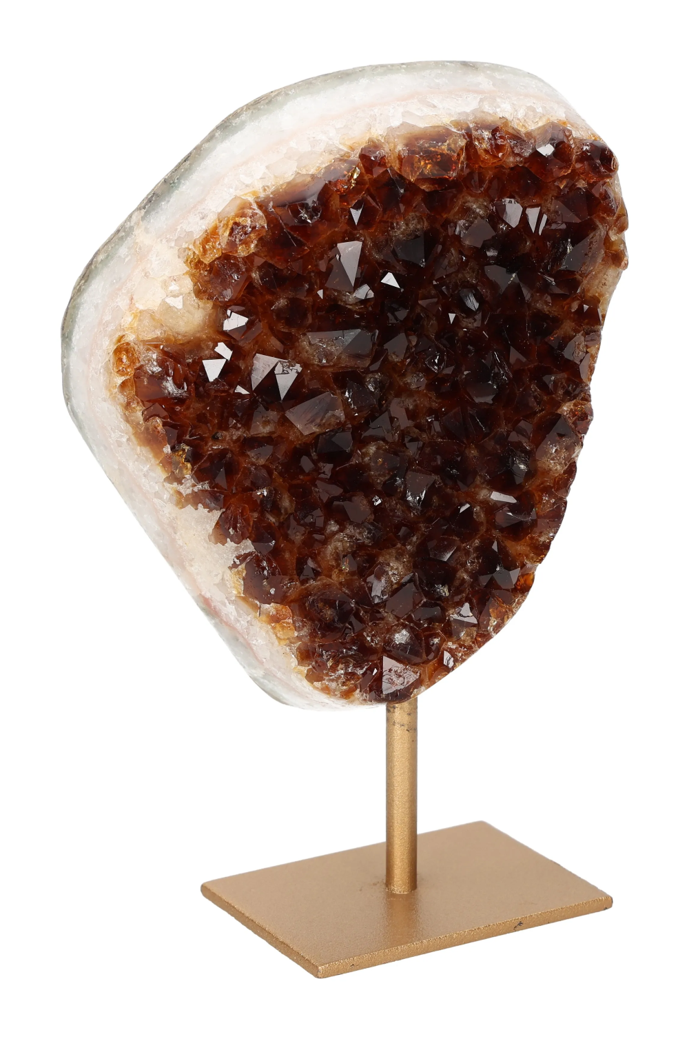 orbitvu|type:image2d