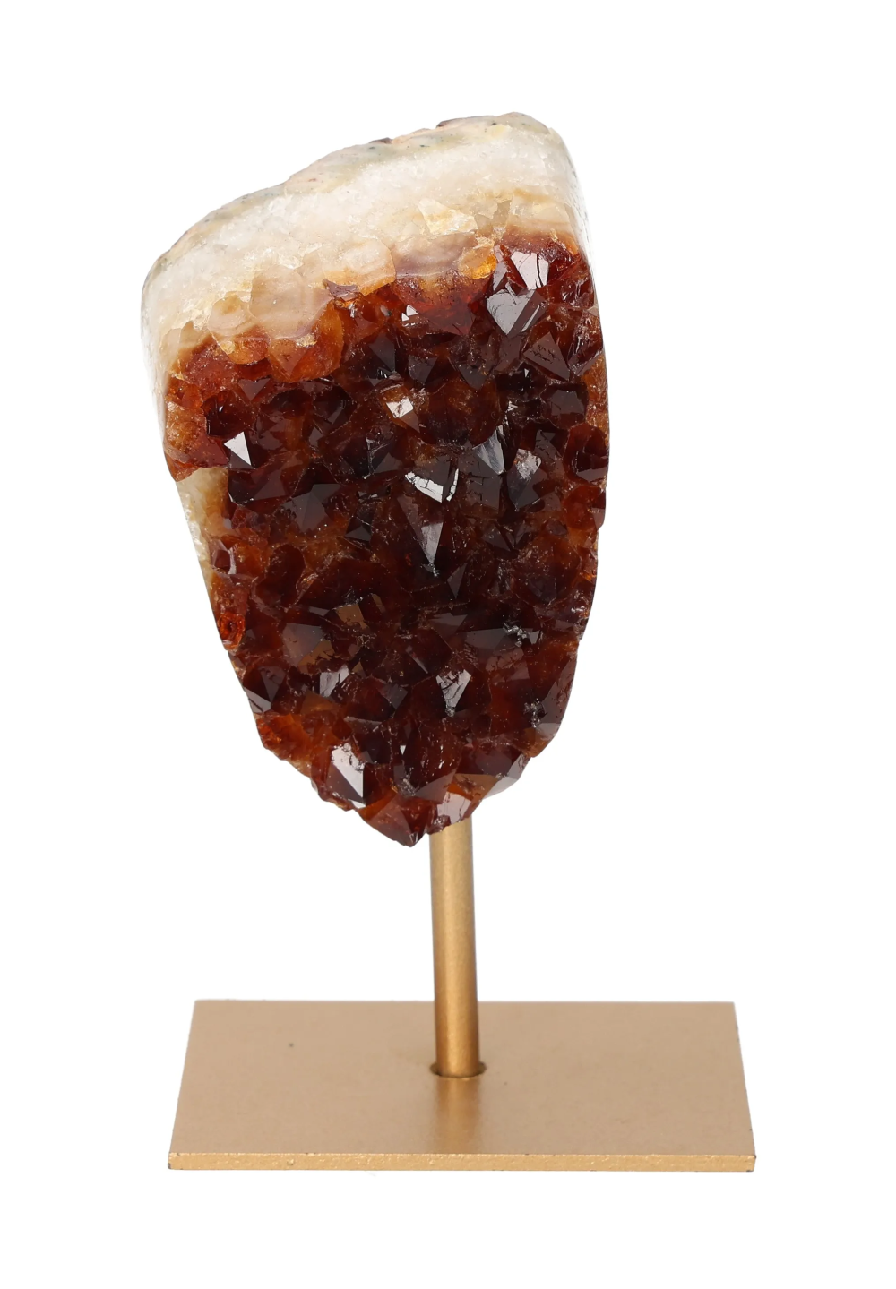 orbitvu|type:image2d