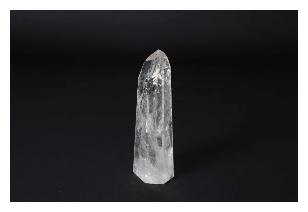 orbitvu|type:image2d