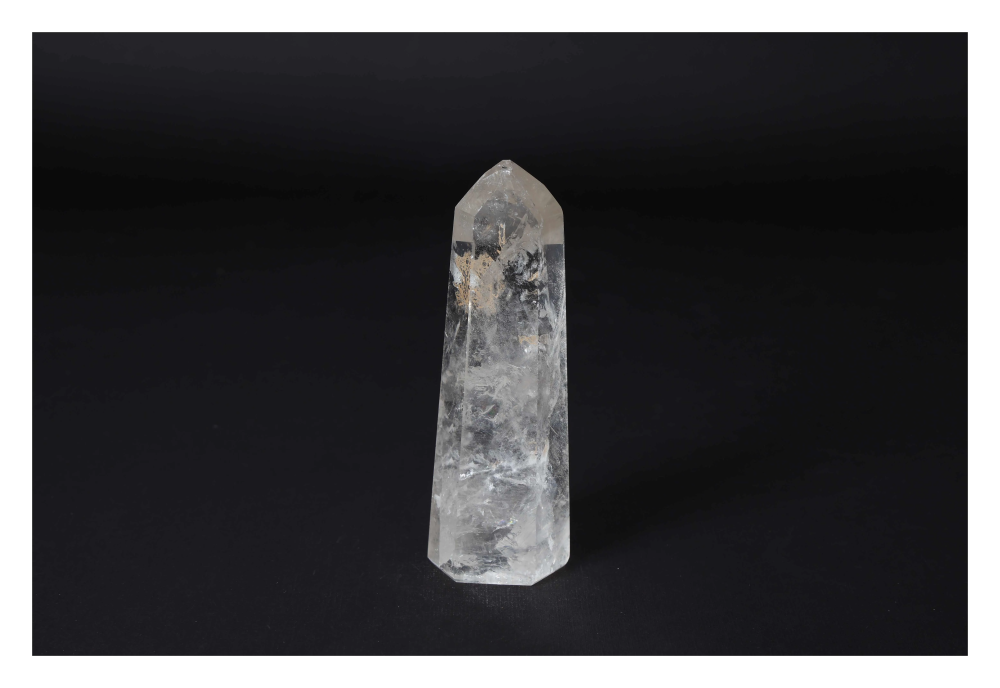 orbitvu|type:image2d