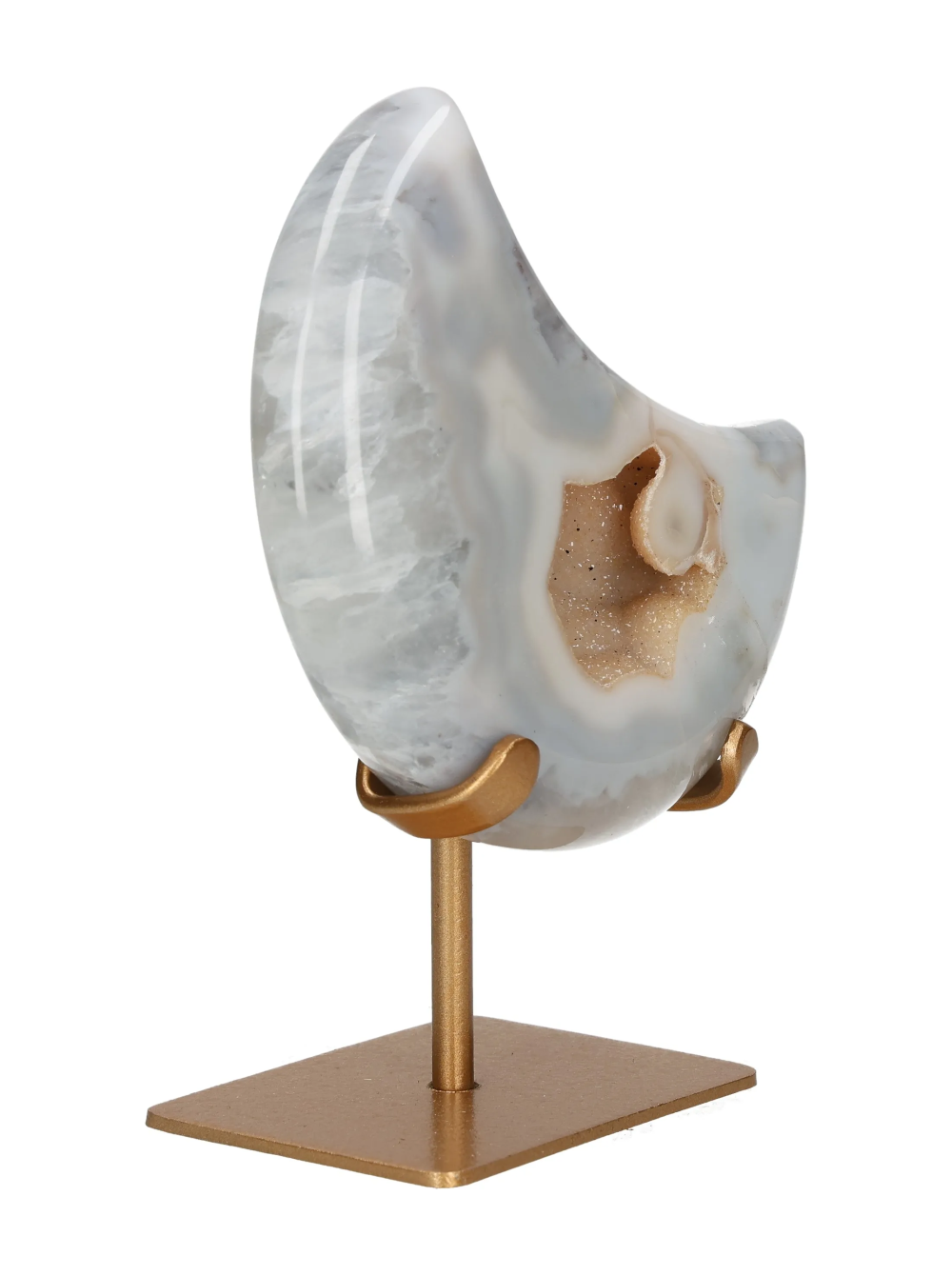 orbitvu|type:image2d