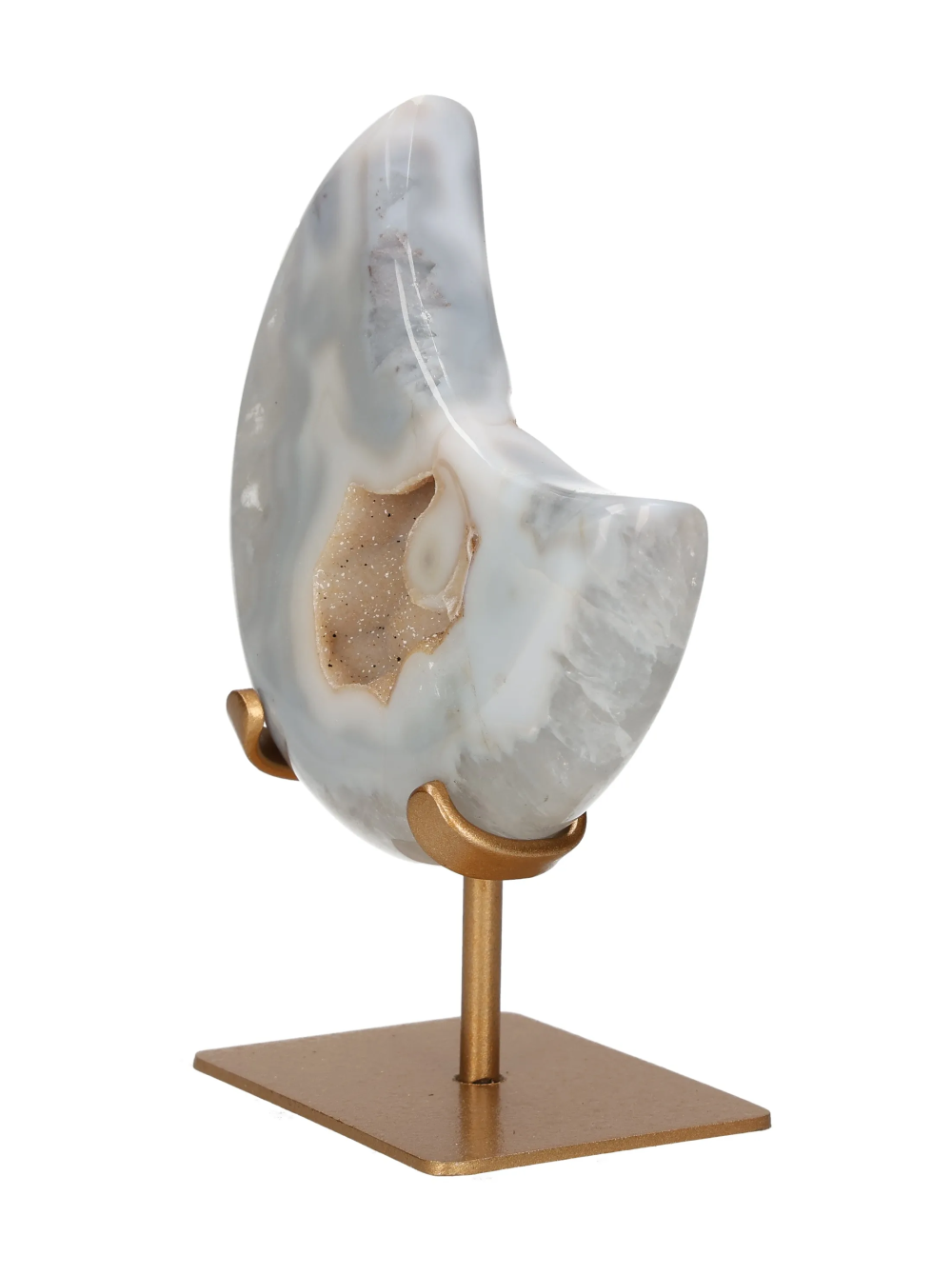 orbitvu|type:image2d