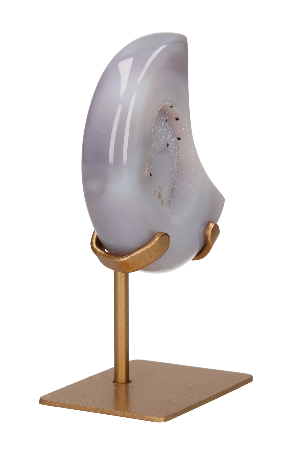 orbitvu|type:image2d