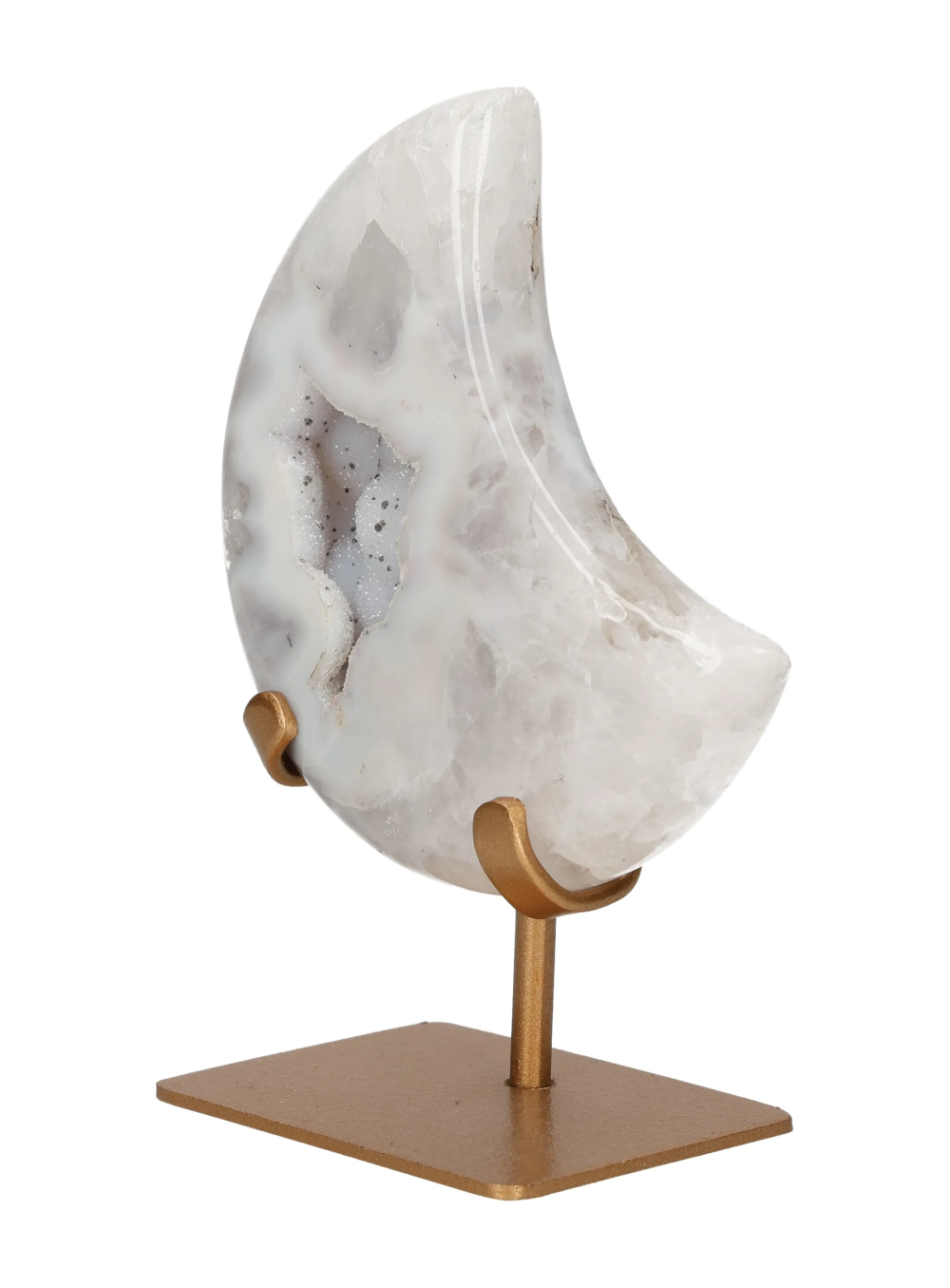 orbitvu|type:image2d