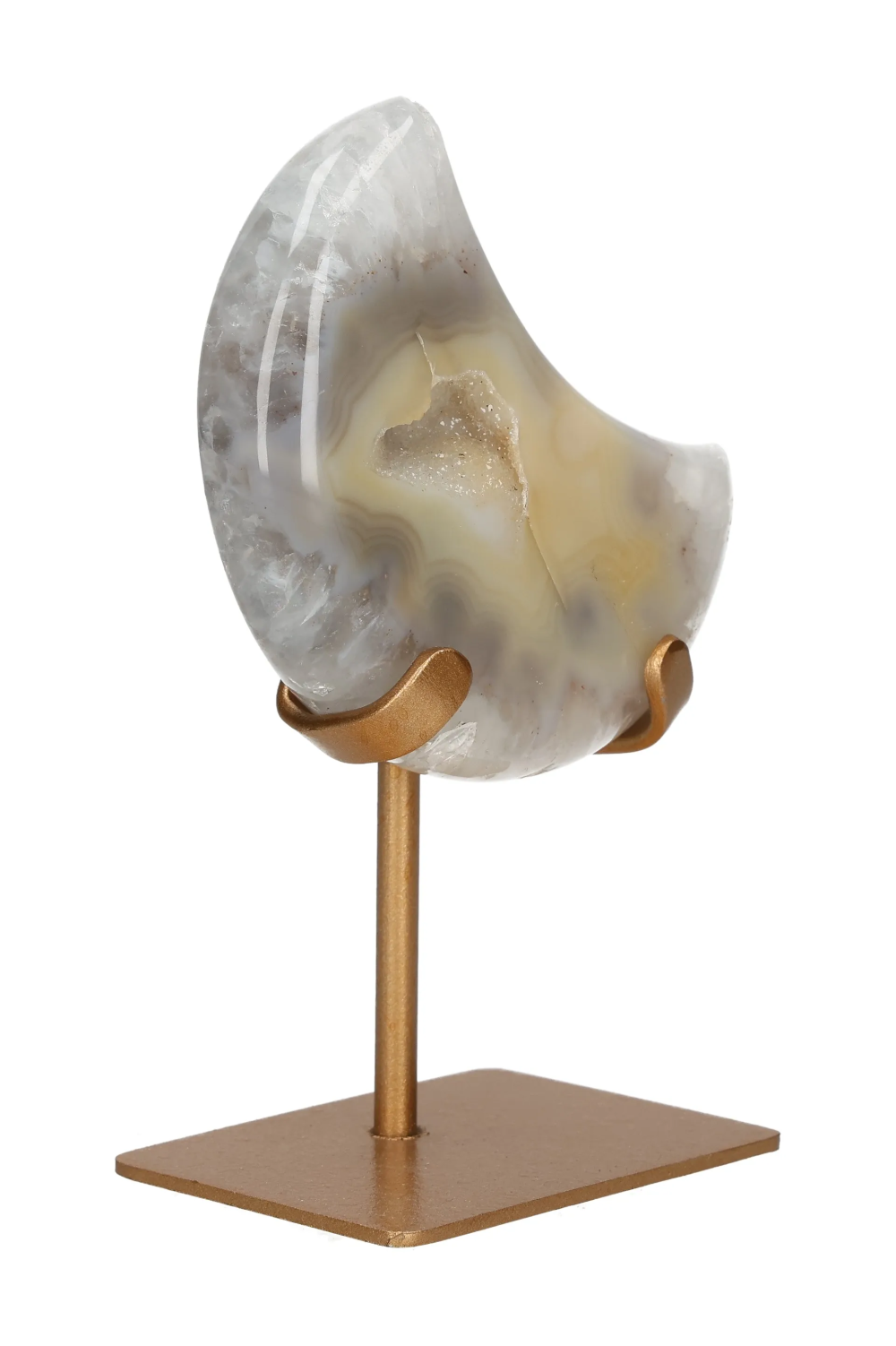 orbitvu|type:image2d