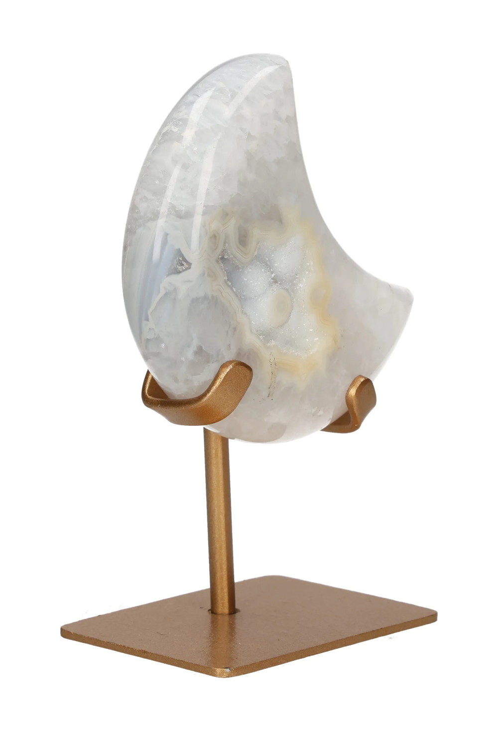 orbitvu|type:image2d