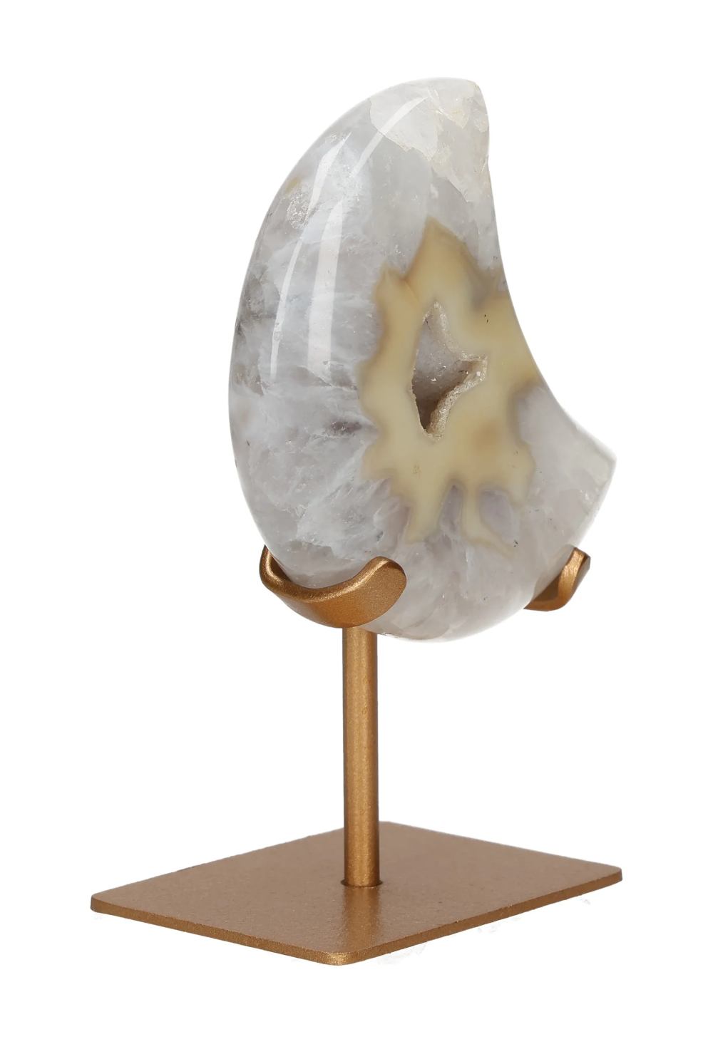 orbitvu|type:image2d