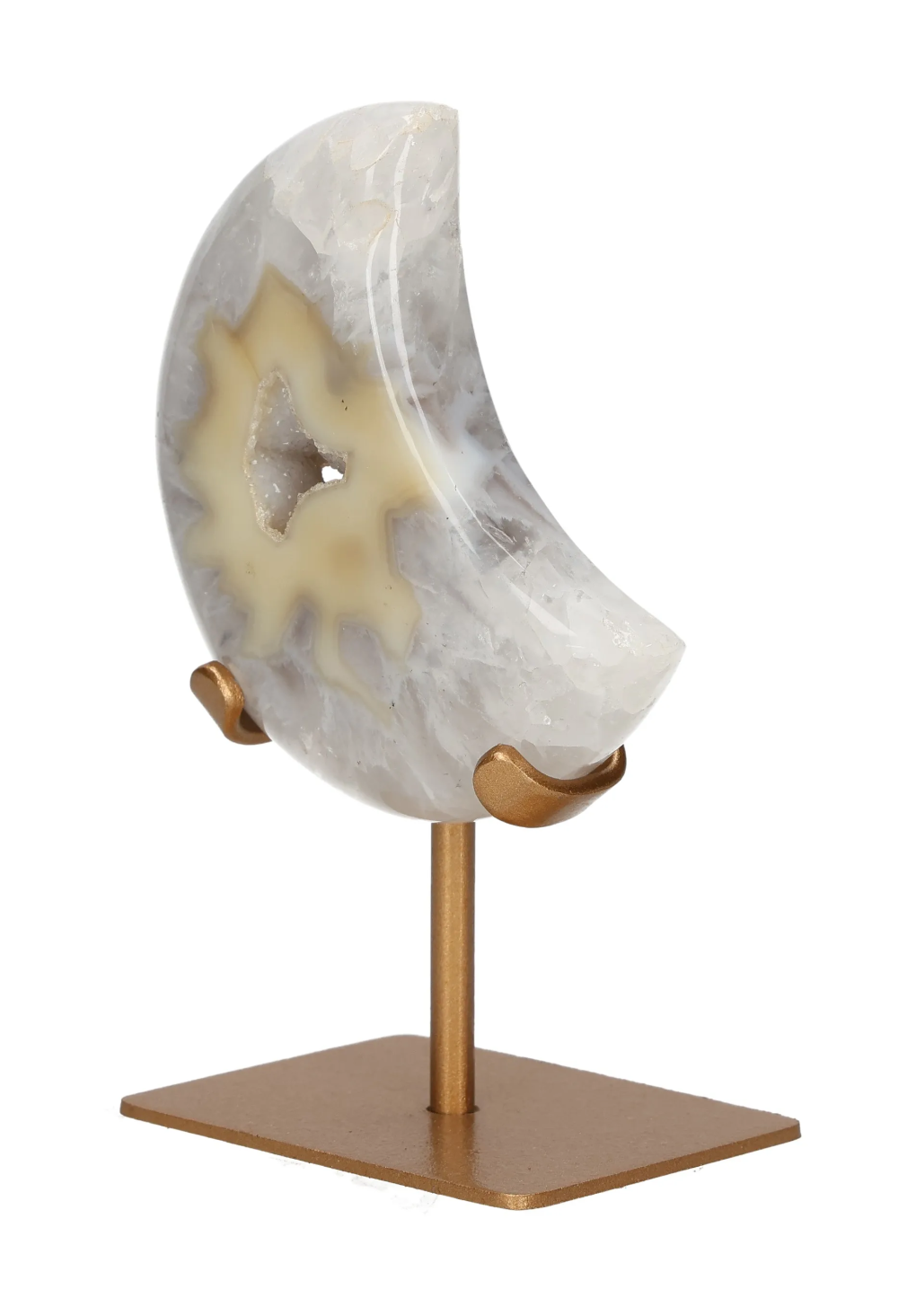 orbitvu|type:image2d