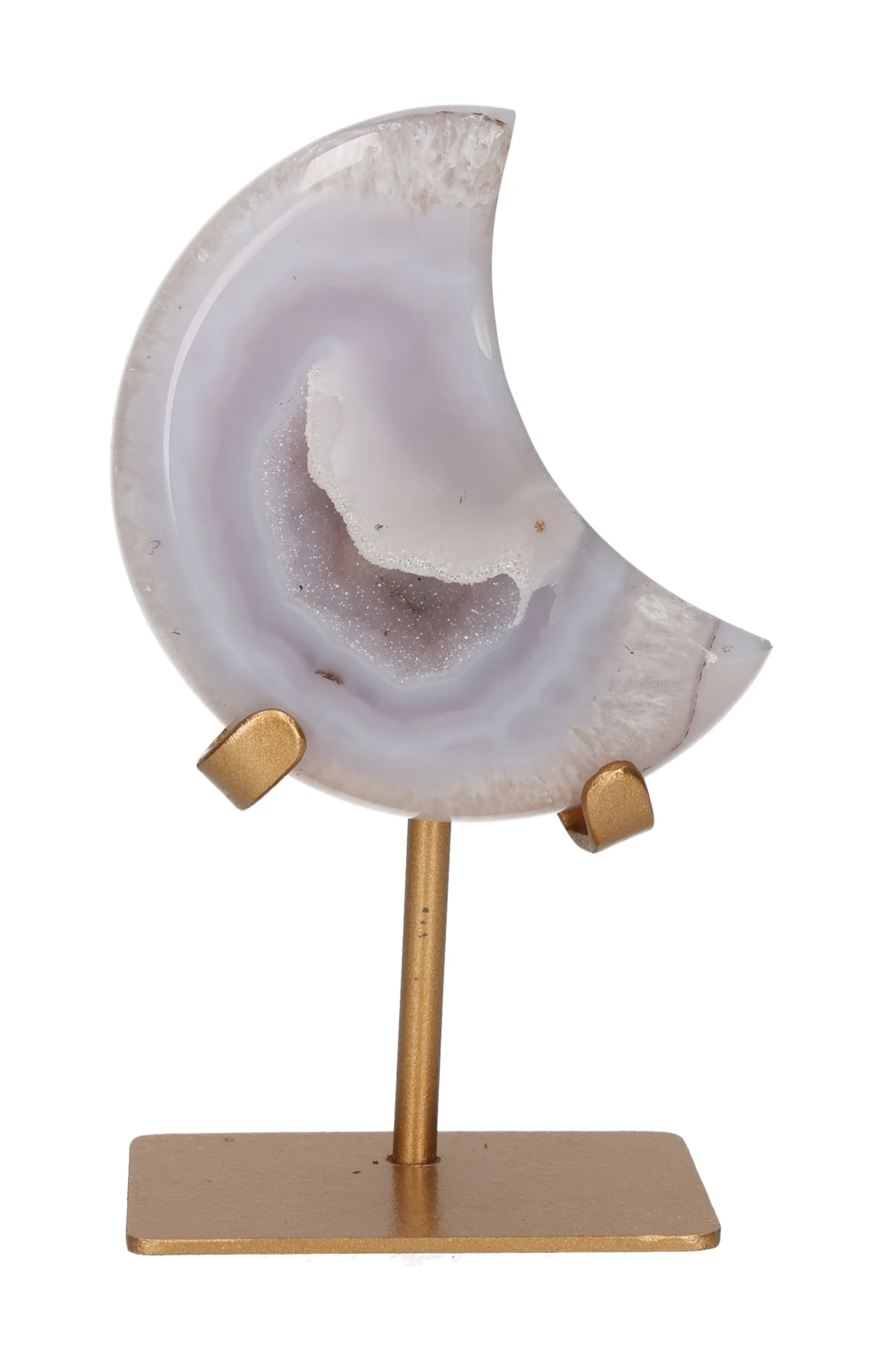 orbitvu|type:image2d