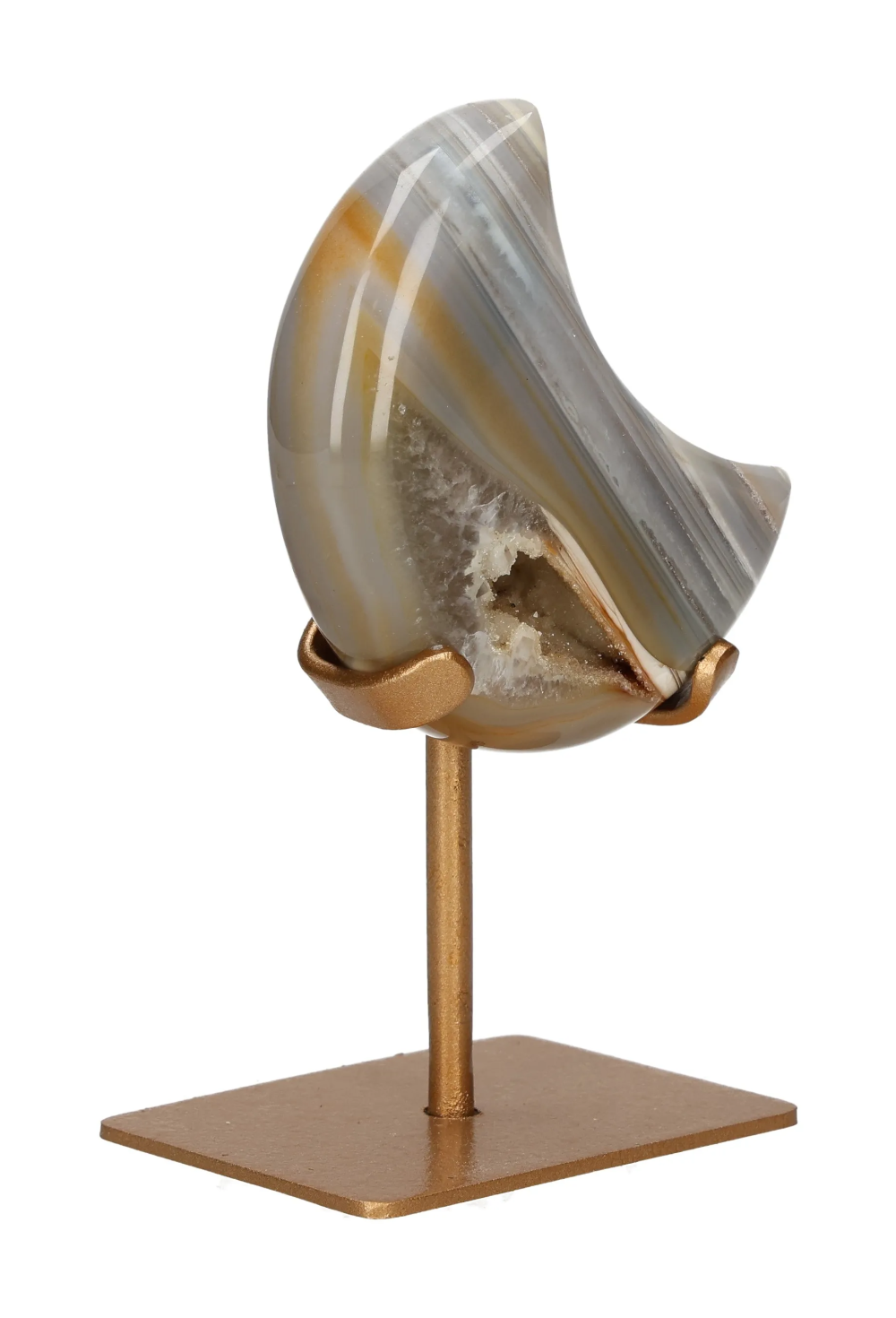 orbitvu|type:image2d