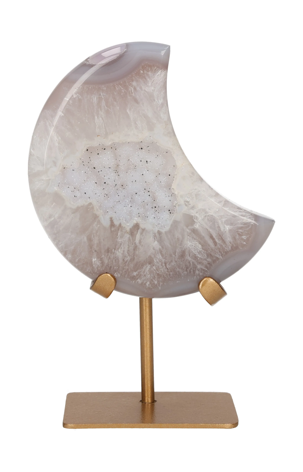 orbitvu|type:image2d