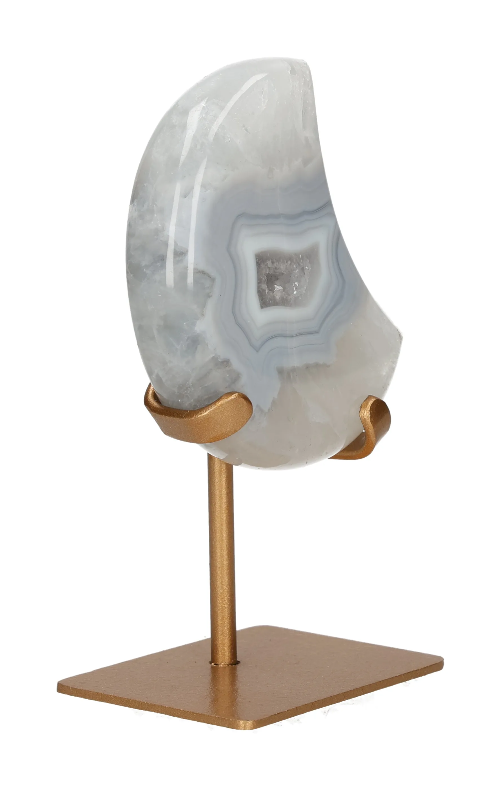 orbitvu|type:image2d