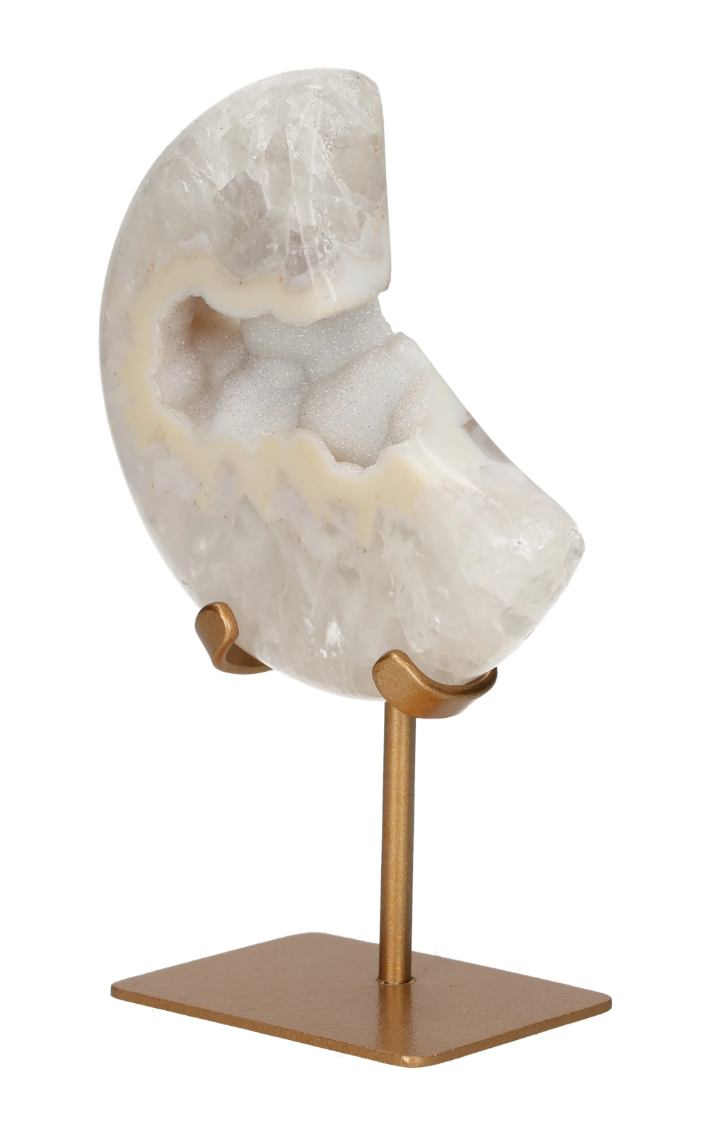 orbitvu|type:image2d