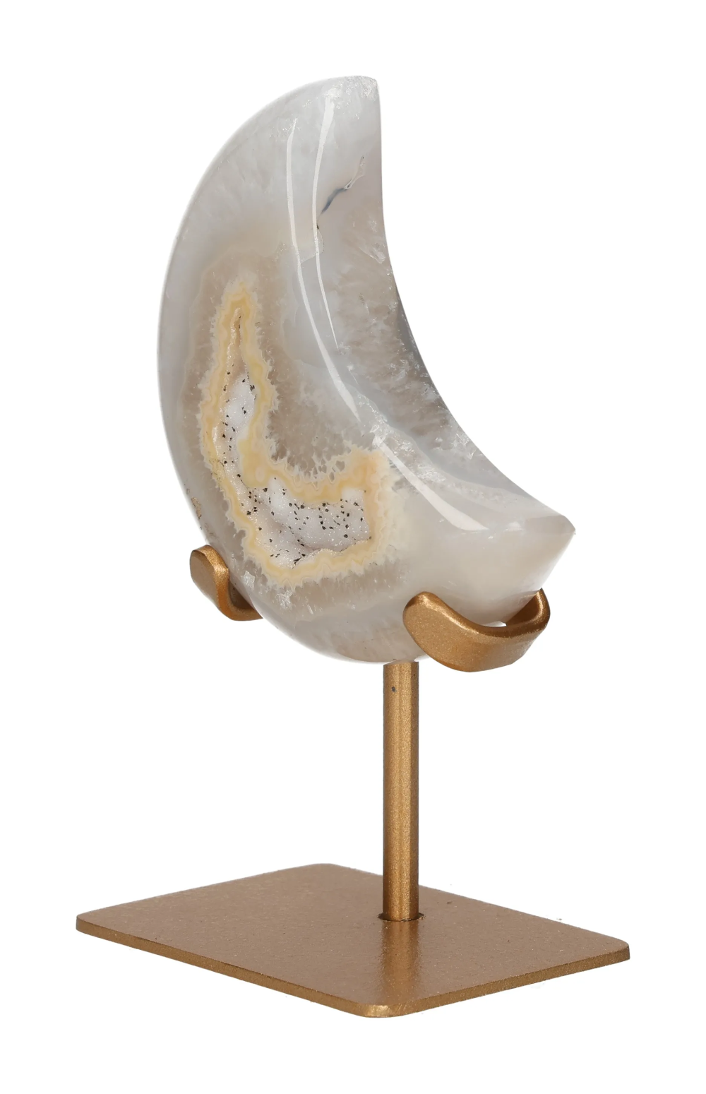 orbitvu|type:image2d