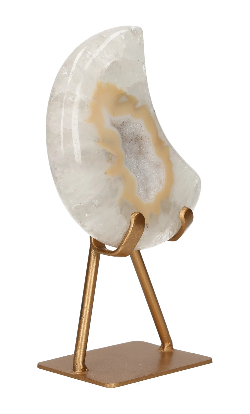 orbitvu|type:image2d