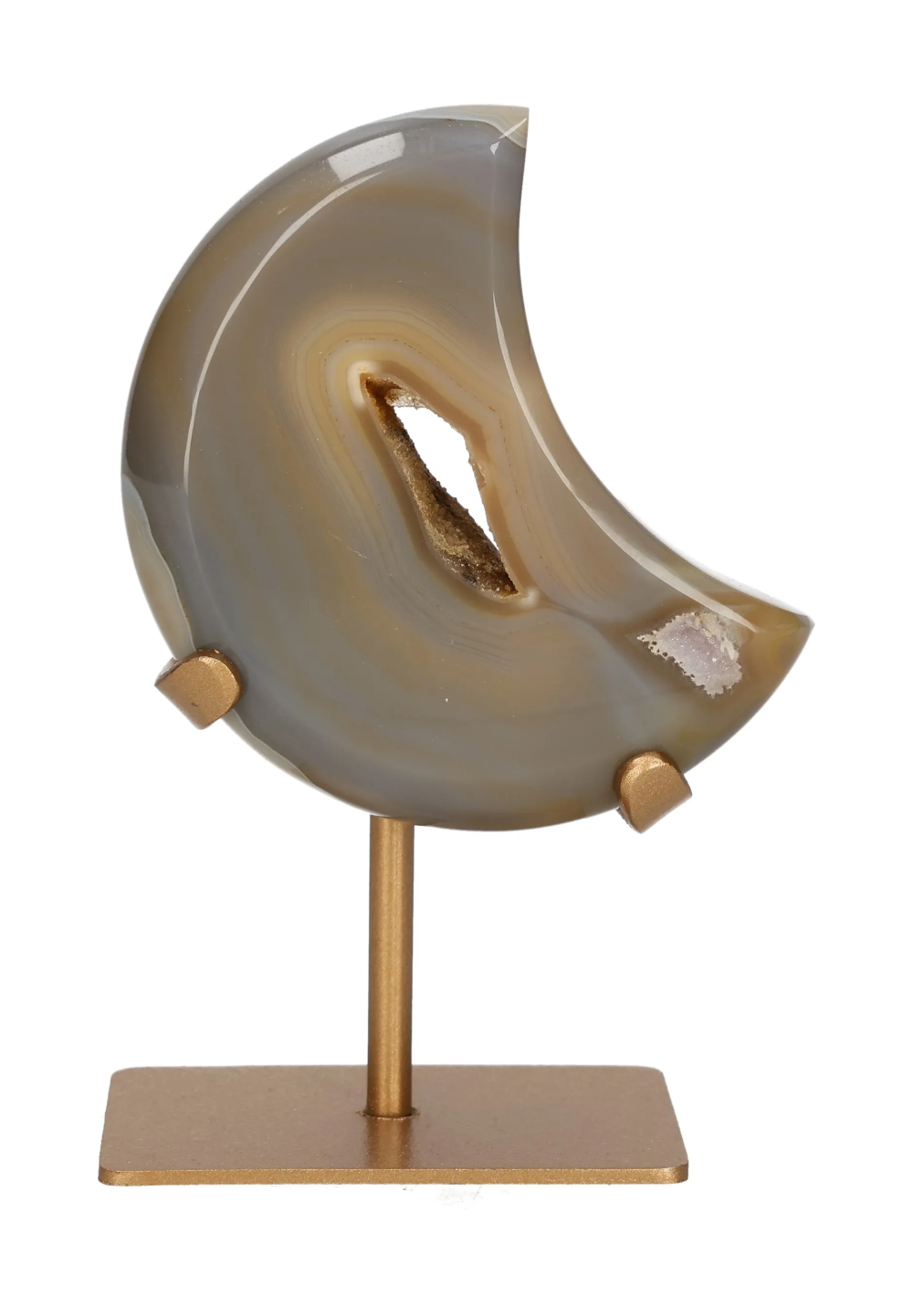 orbitvu|type:image2d