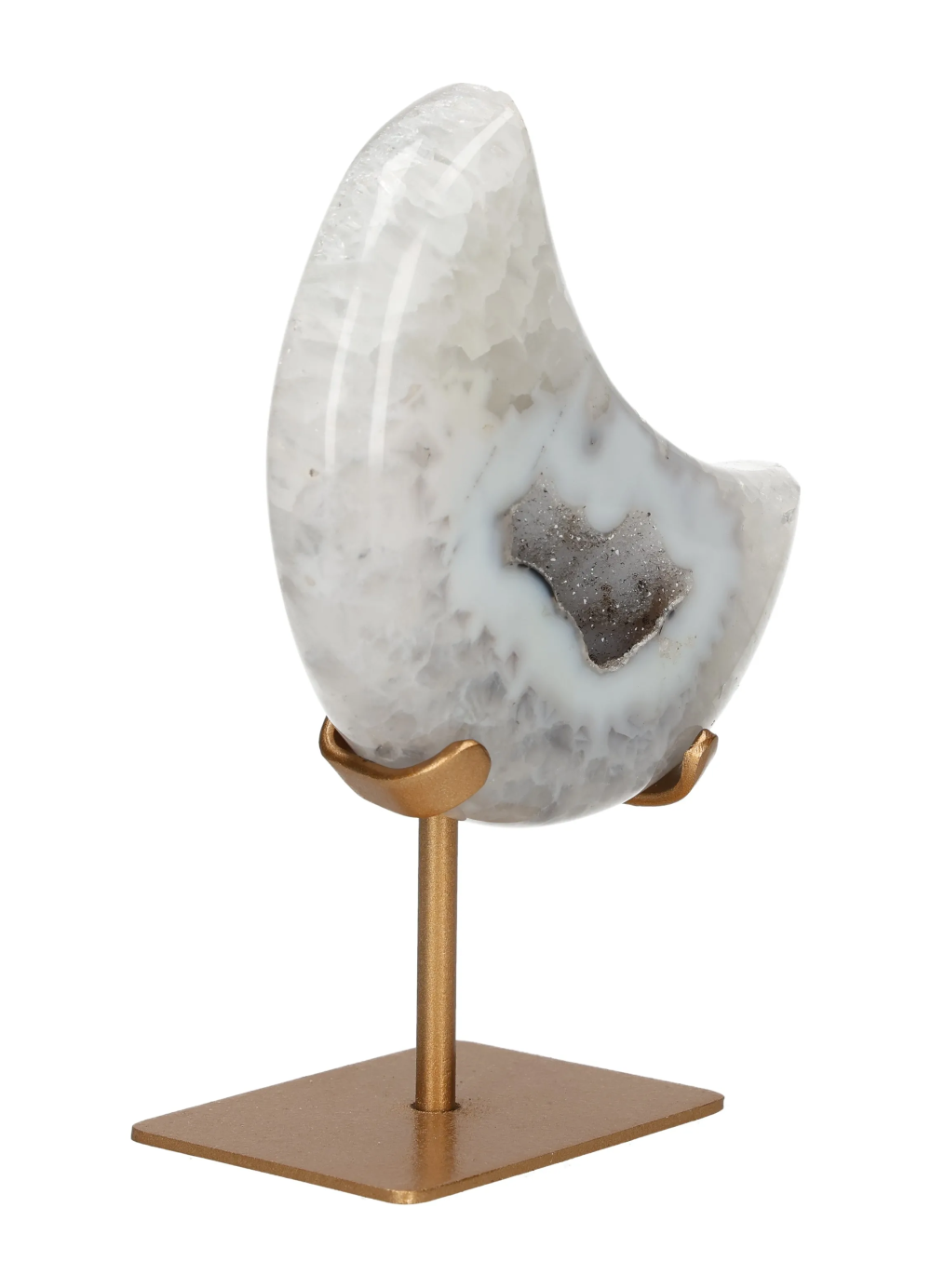 orbitvu|type:image2d