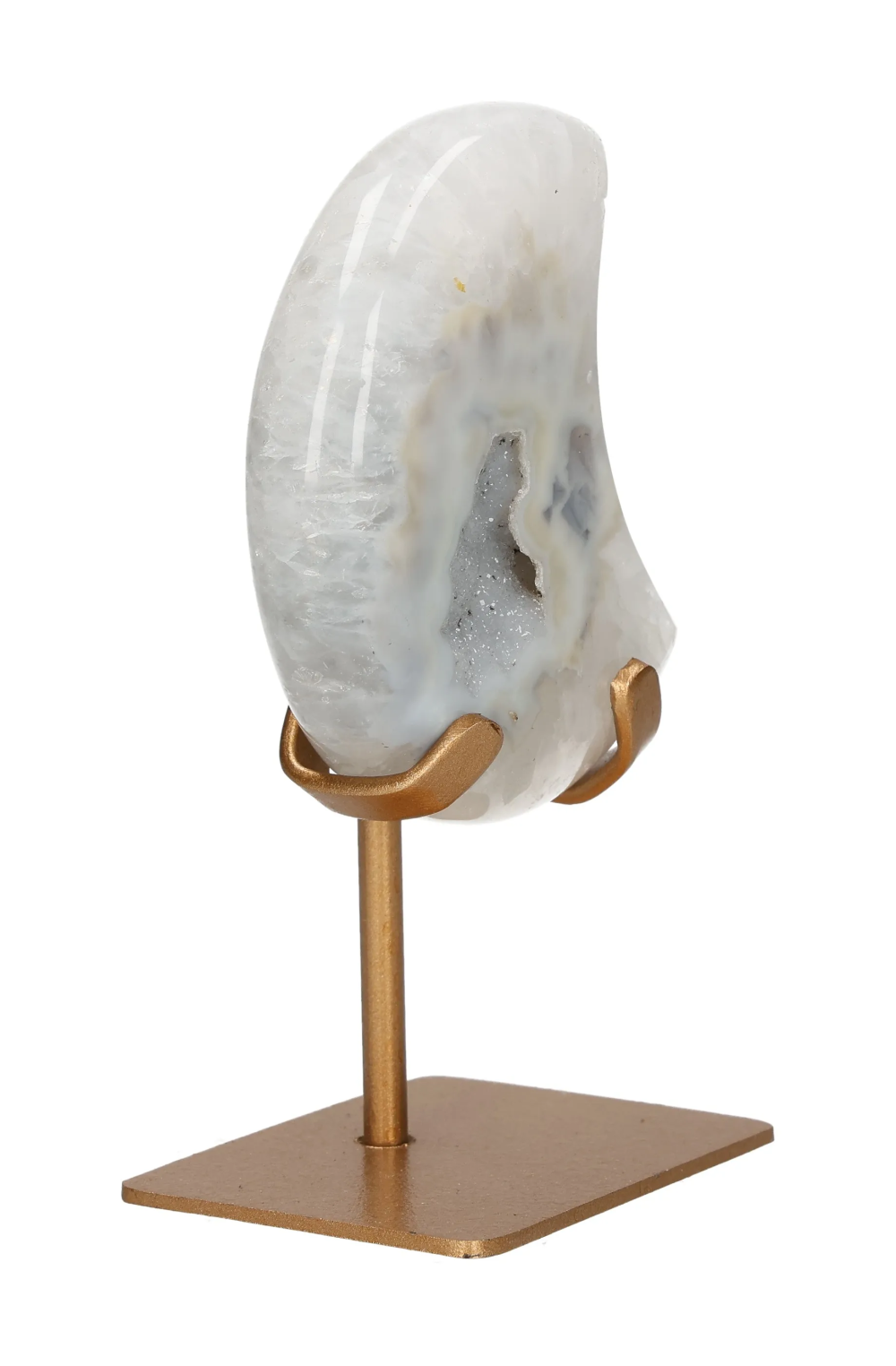 orbitvu|type:image2d