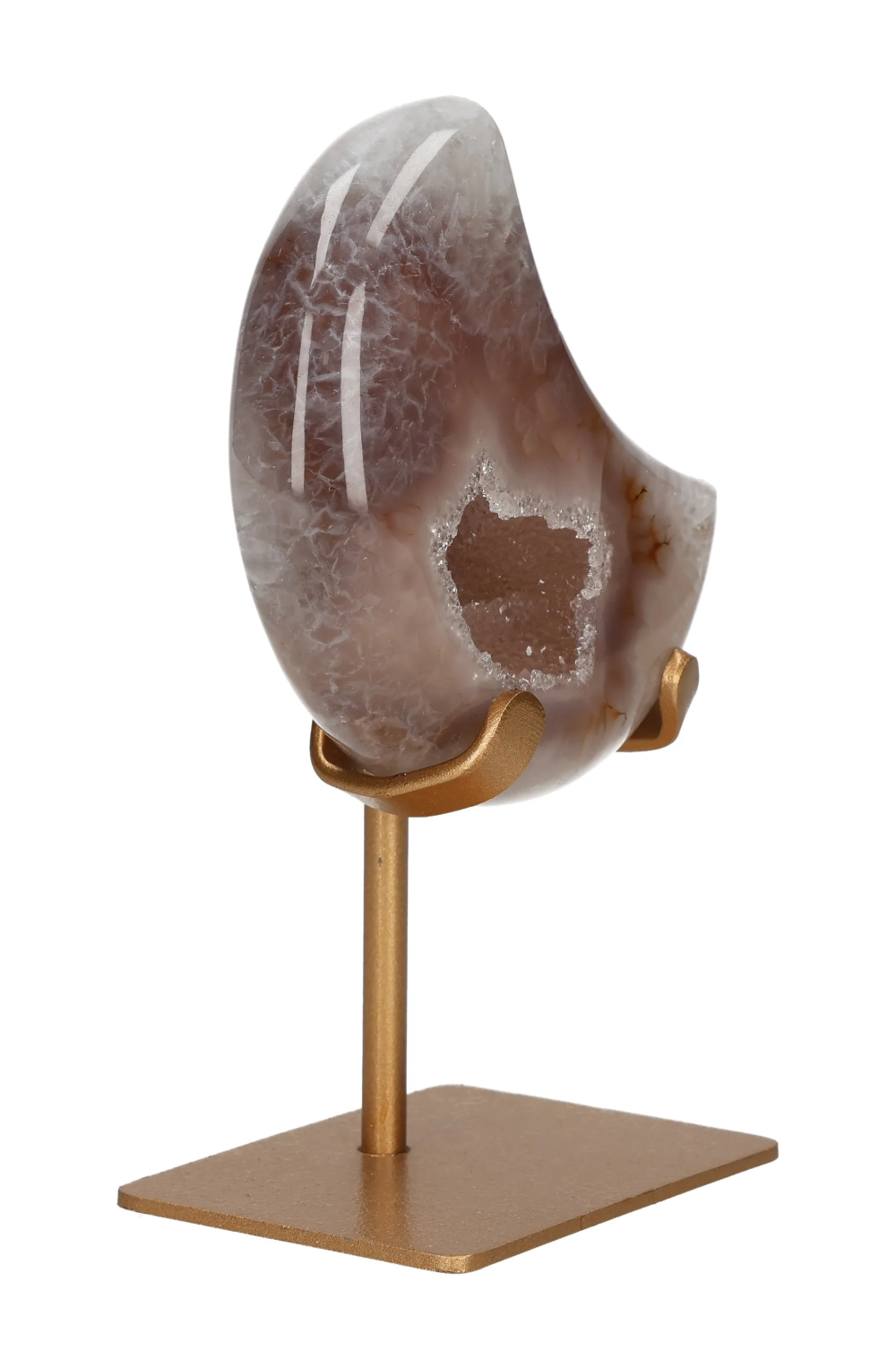 orbitvu|type:image2d