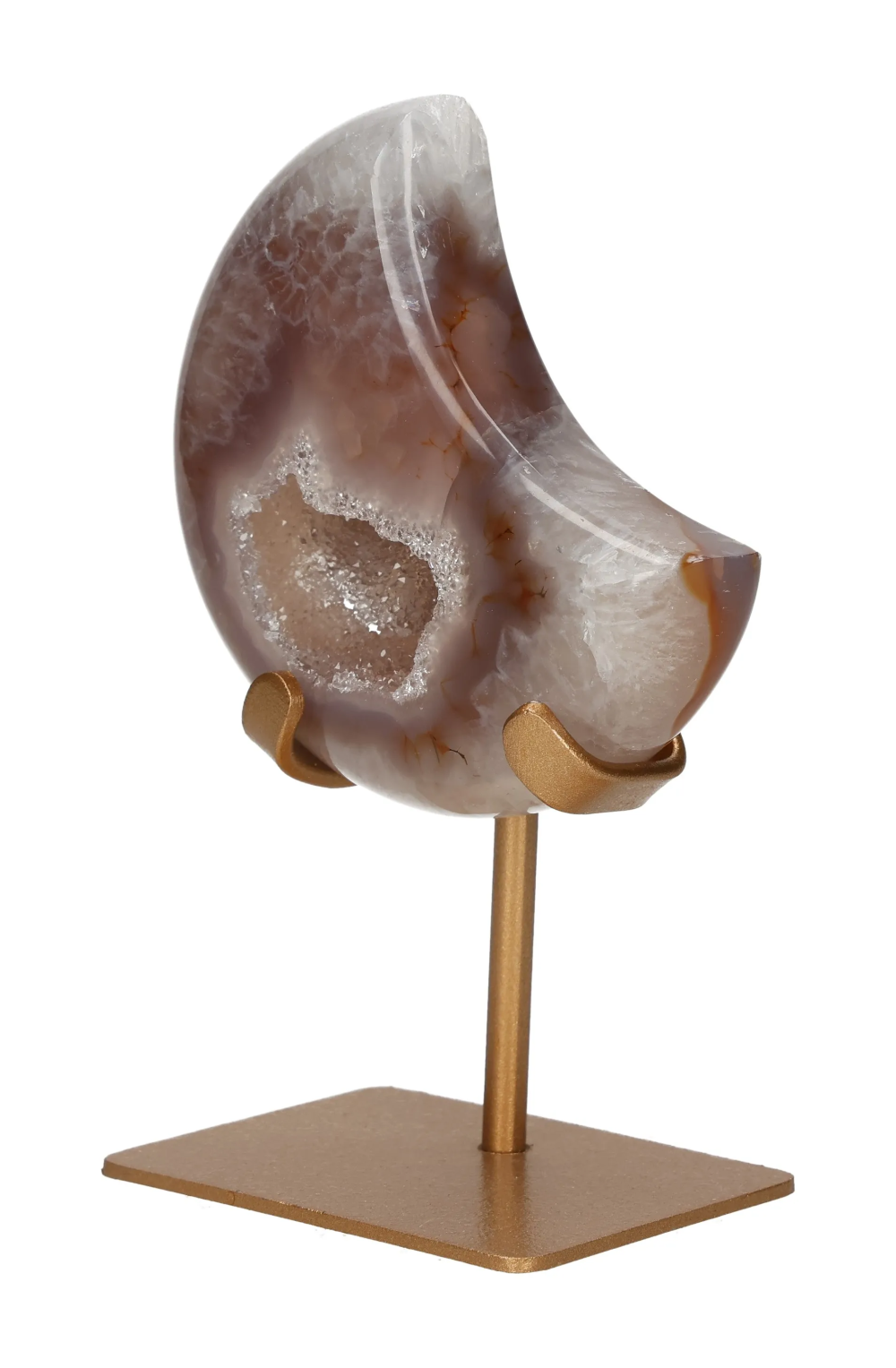 orbitvu|type:image2d