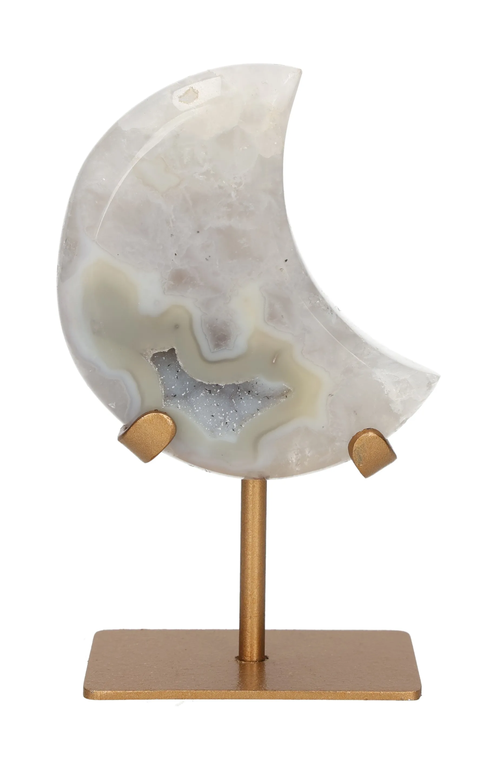 orbitvu|type:image2d