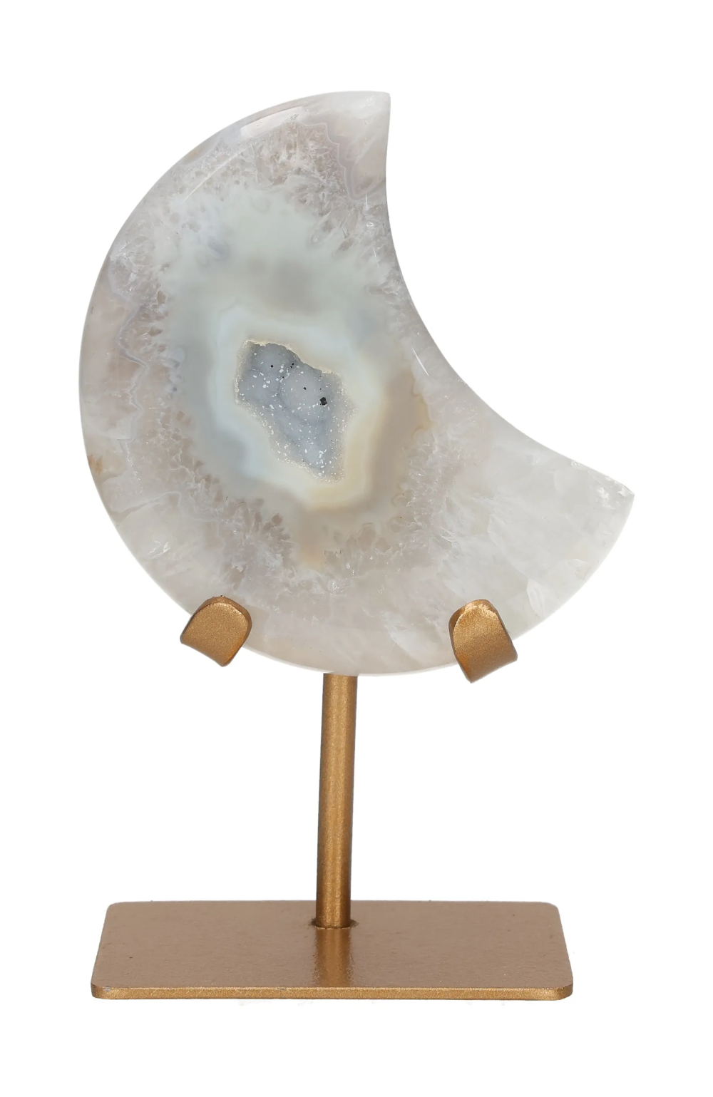 orbitvu|type:image2d