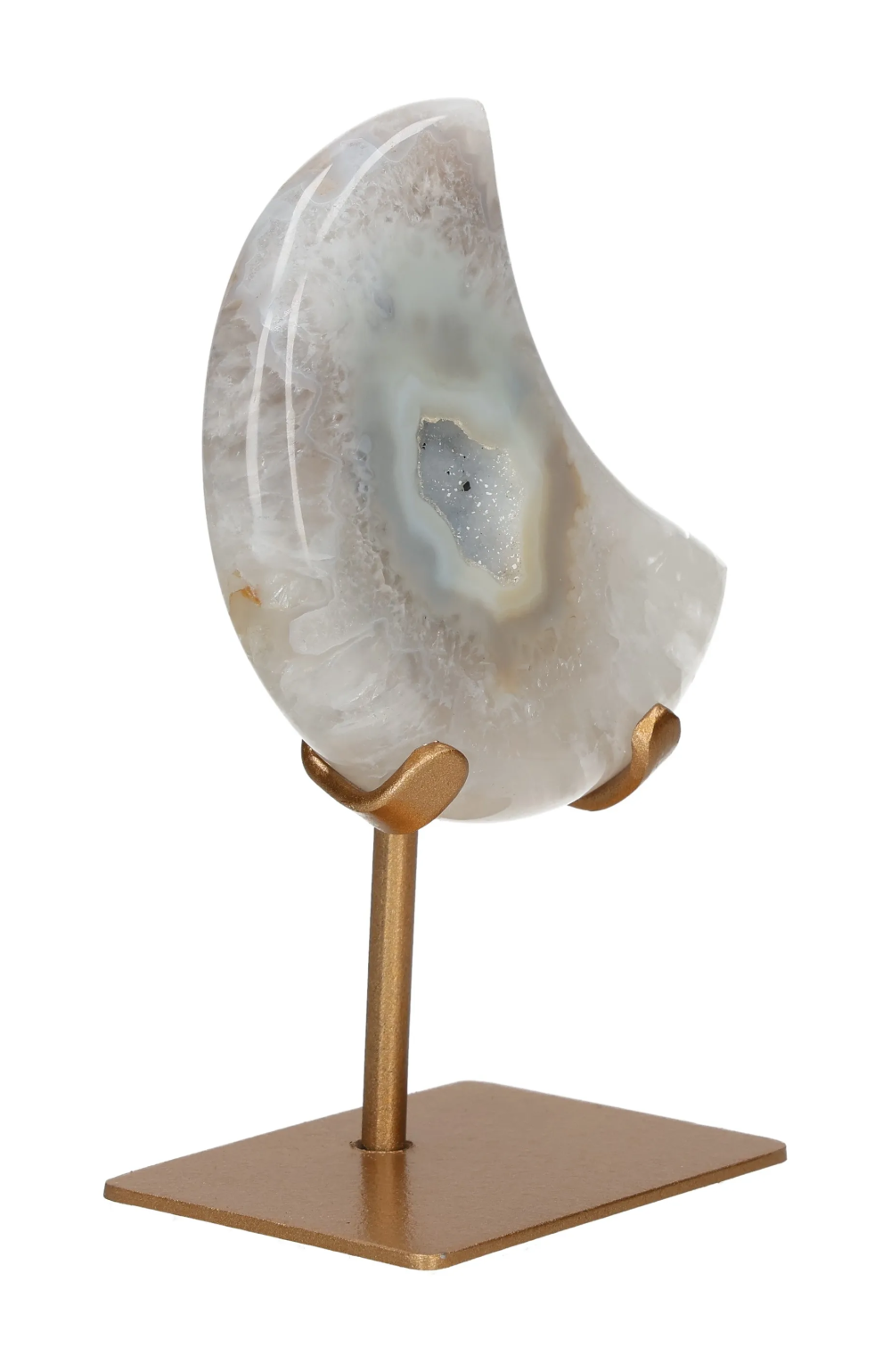 orbitvu|type:image2d