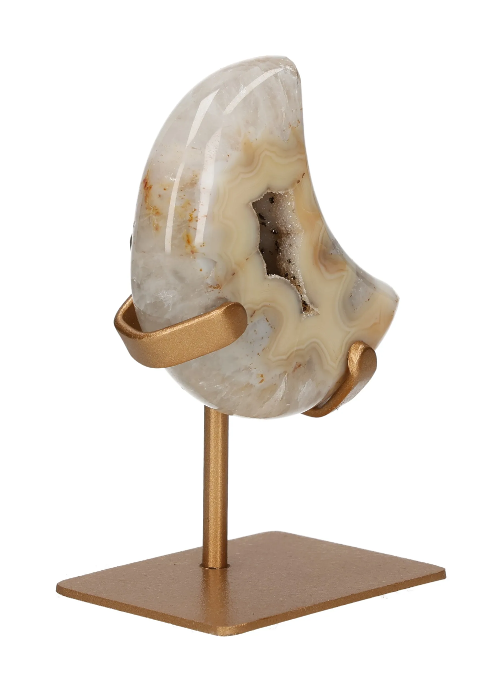 orbitvu|type:image2d