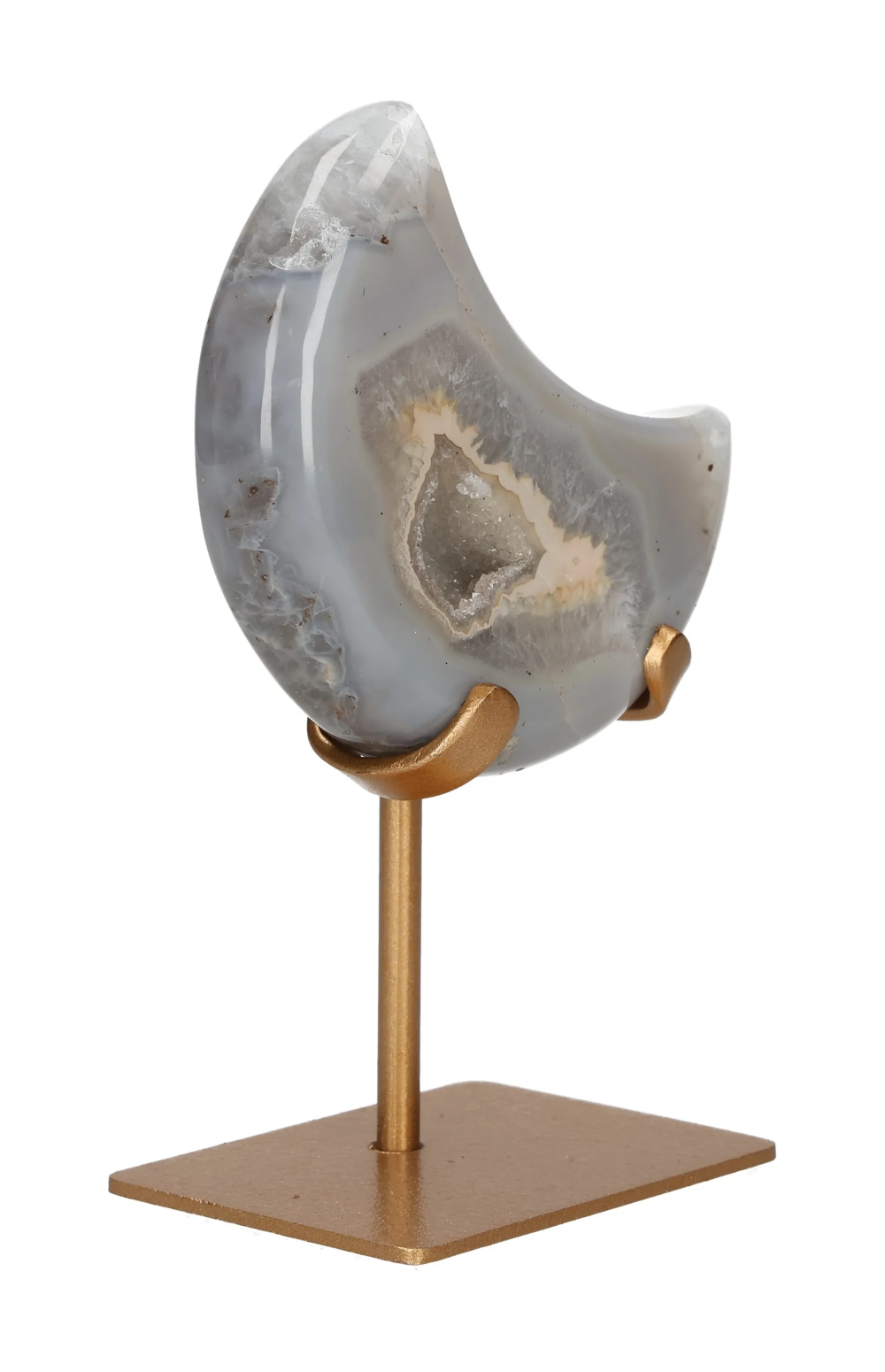 orbitvu|type:image2d