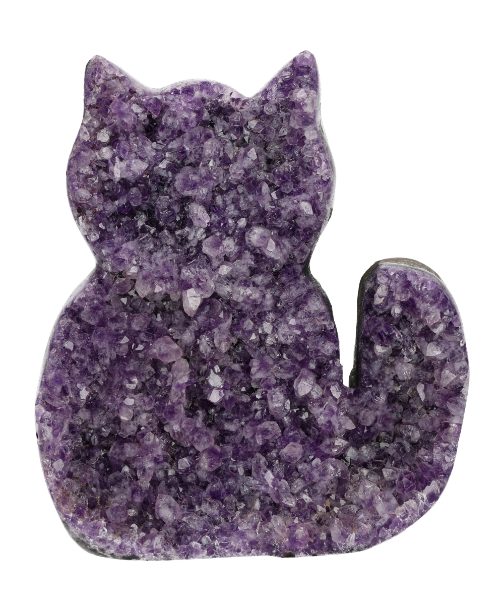 orbitvu|type:image2d