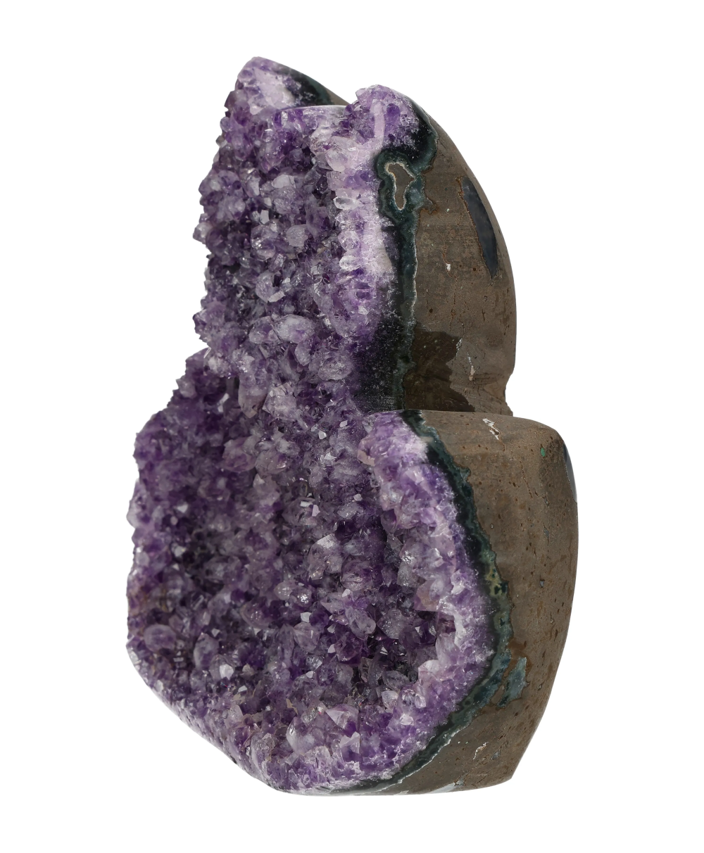 orbitvu|type:image2d