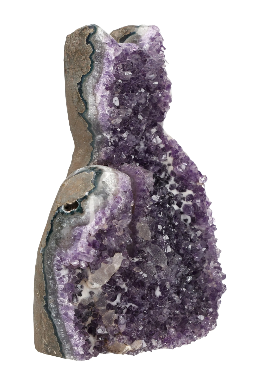 orbitvu|type:image2d