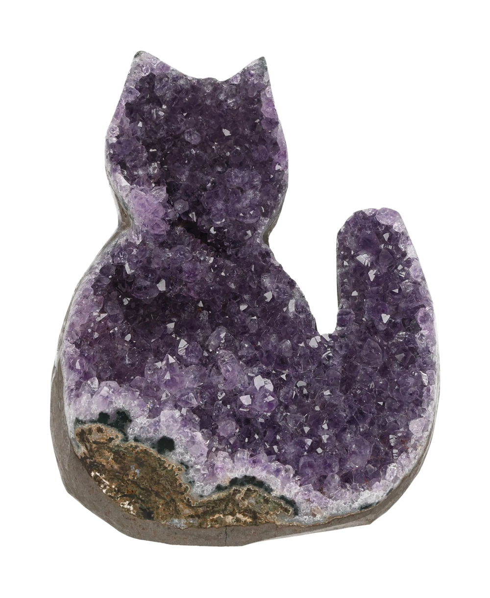 orbitvu|type:image2d