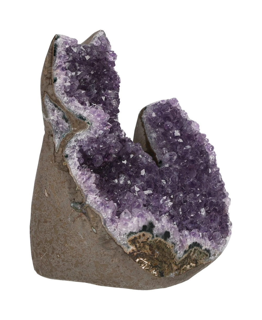 orbitvu|type:image2d