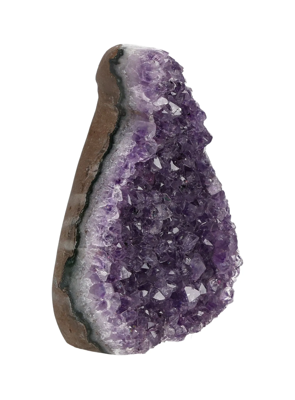 orbitvu|type:image2d