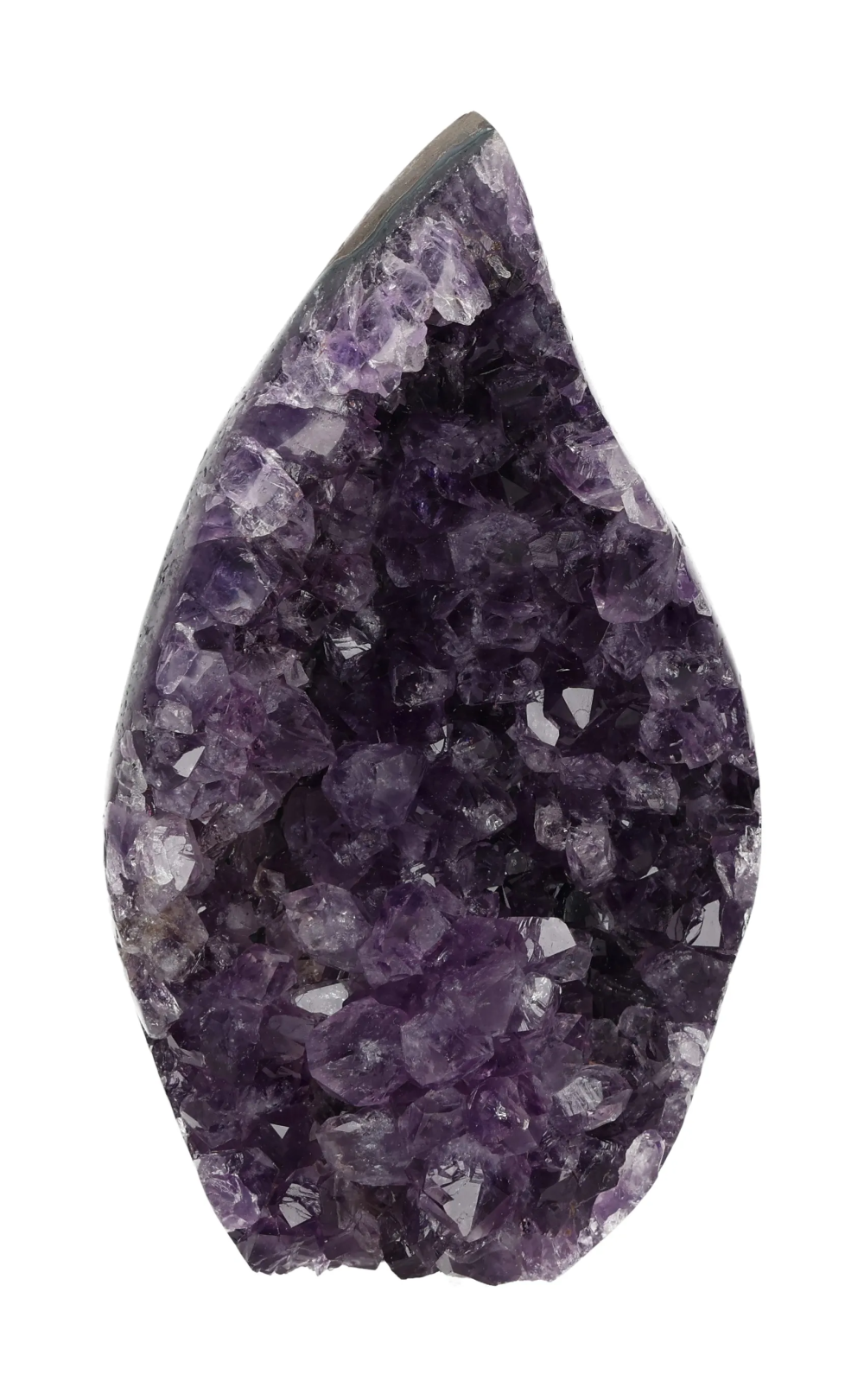 orbitvu|type:image2d