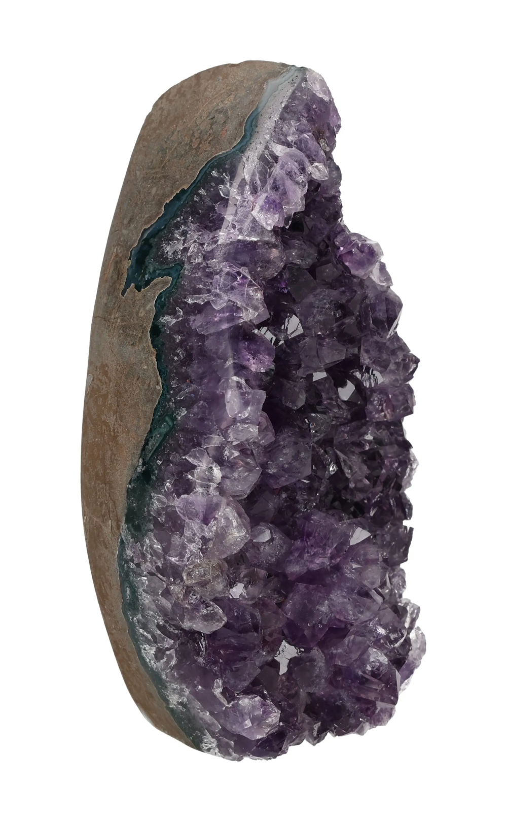 orbitvu|type:image2d