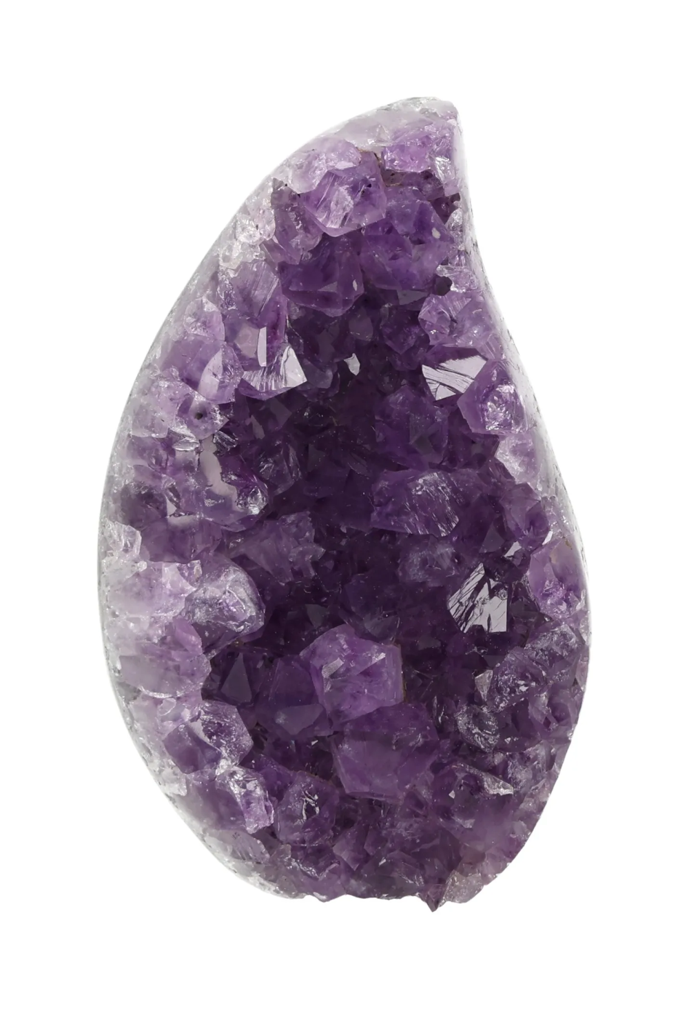 orbitvu|type:image2d