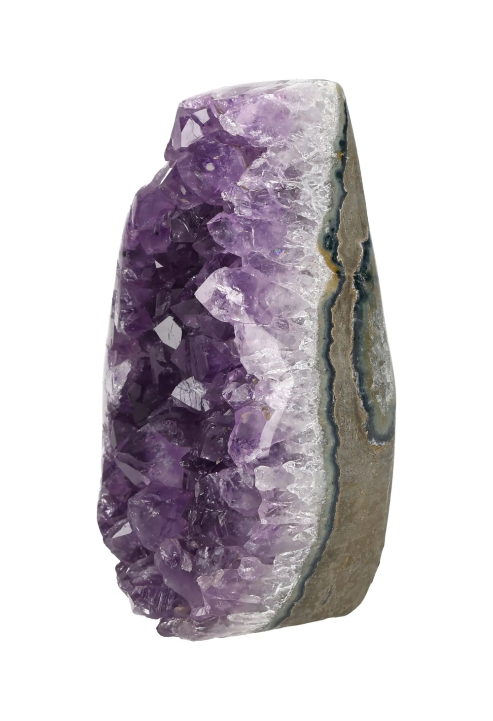 orbitvu|type:image2d