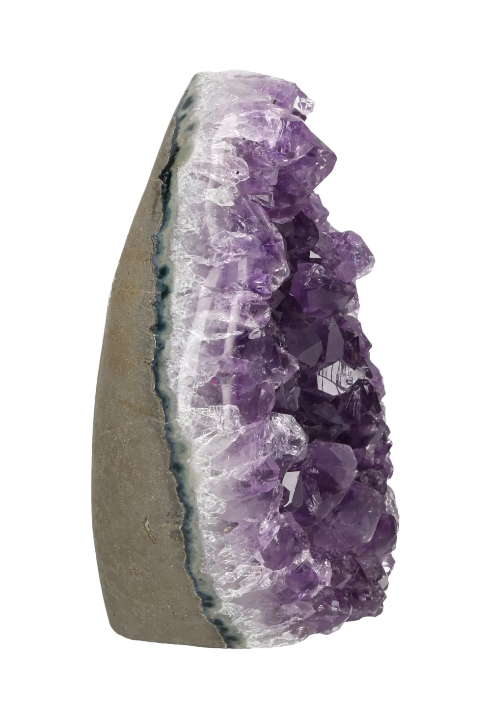 orbitvu|type:image2d