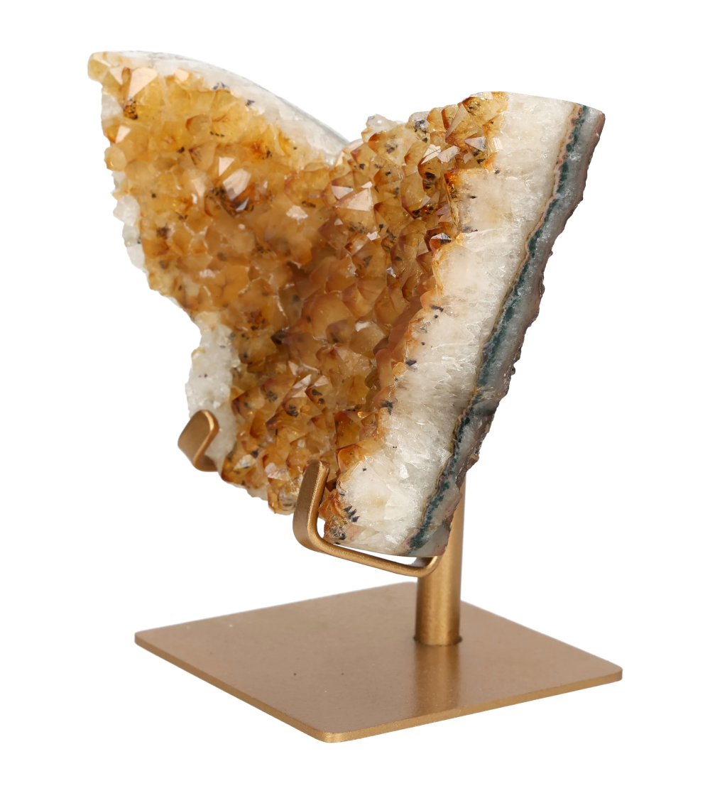 orbitvu|type:image2d