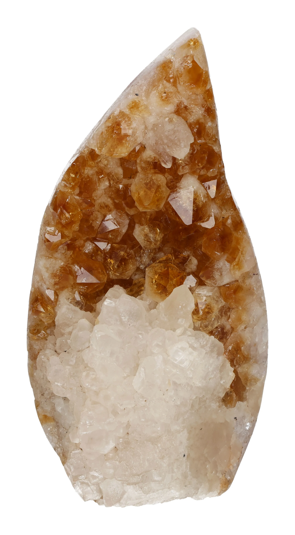 orbitvu|type:image2d