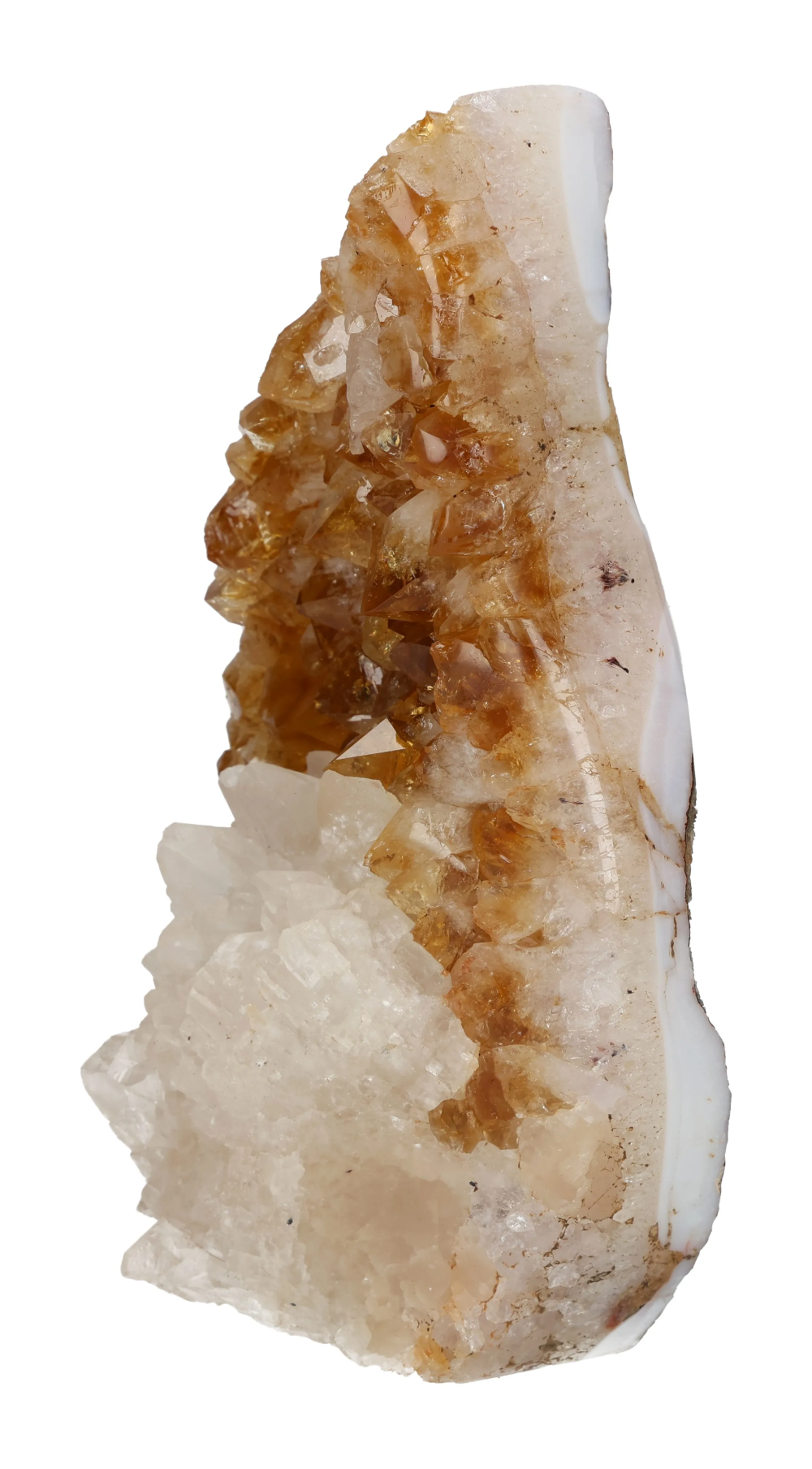 orbitvu|type:image2d