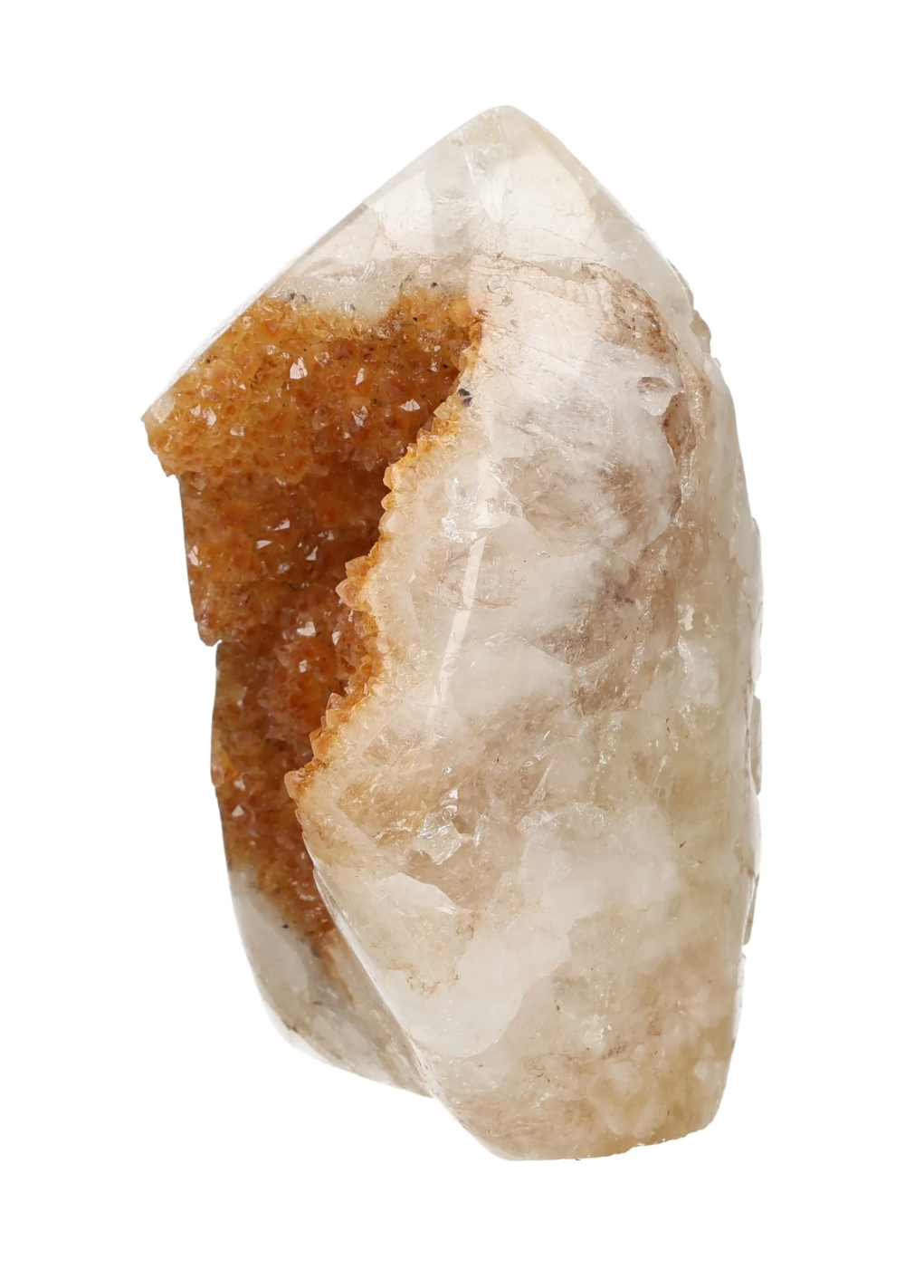 orbitvu|type:image2d