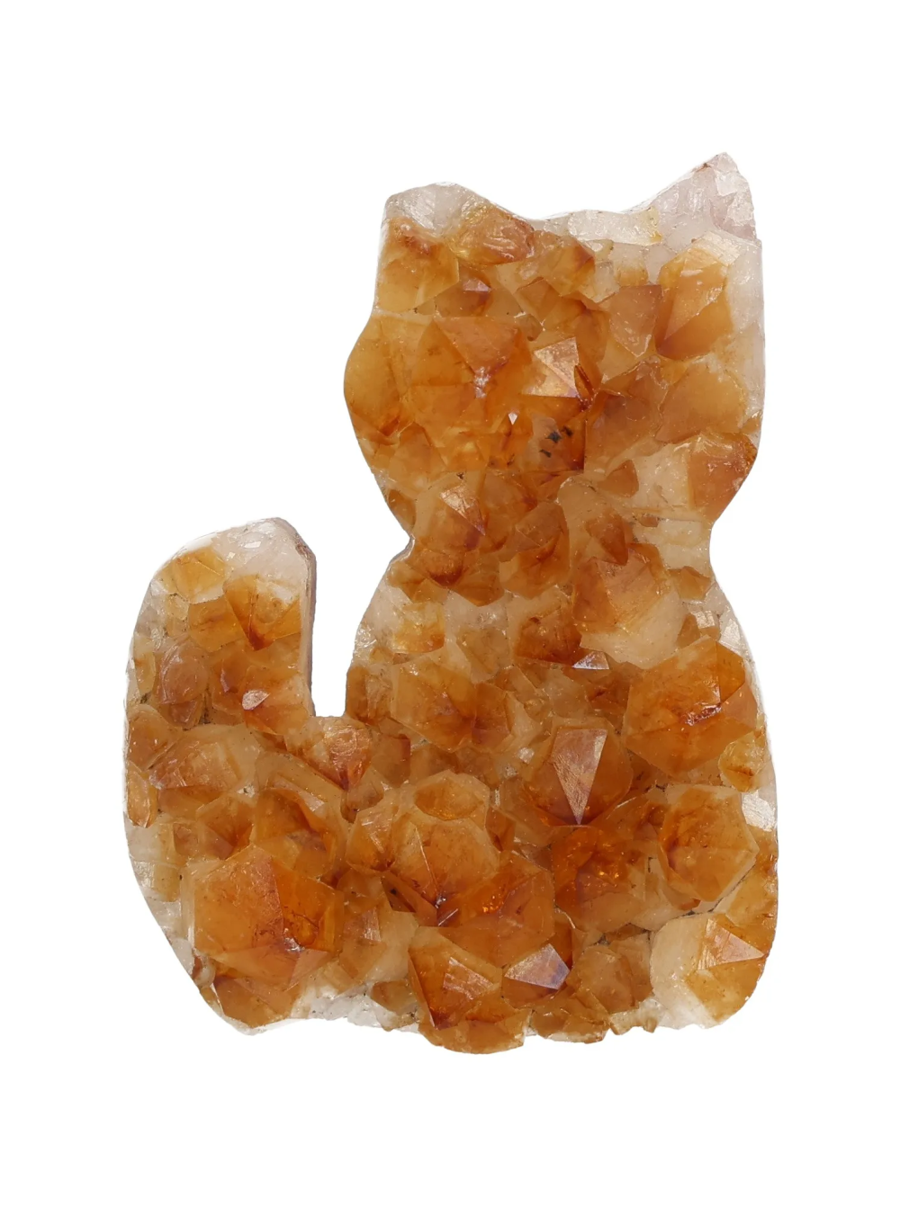 orbitvu|type:image2d