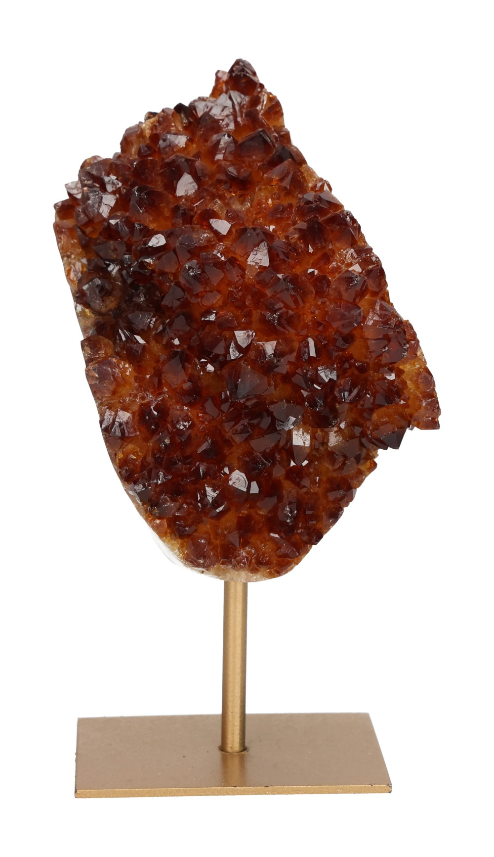 orbitvu|type:image2d