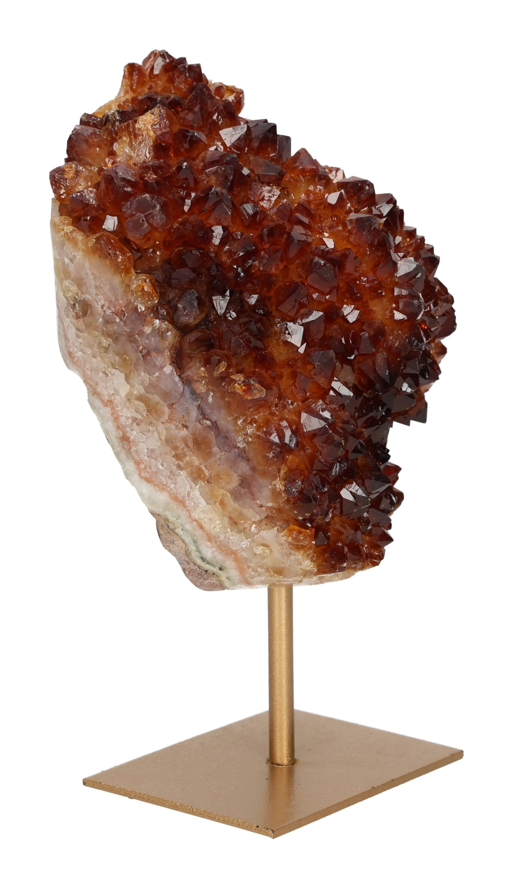 orbitvu|type:image2d