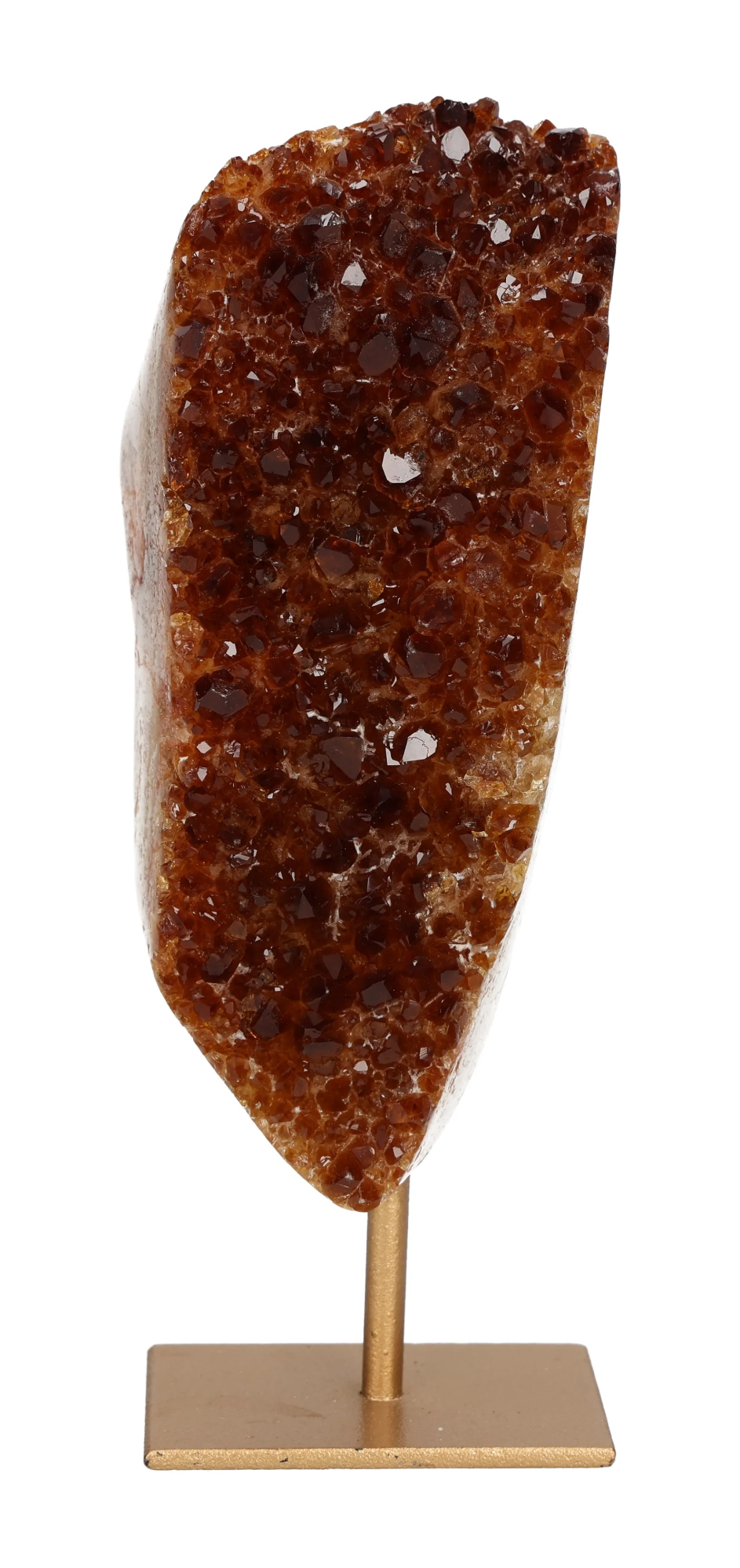 orbitvu|type:image2d